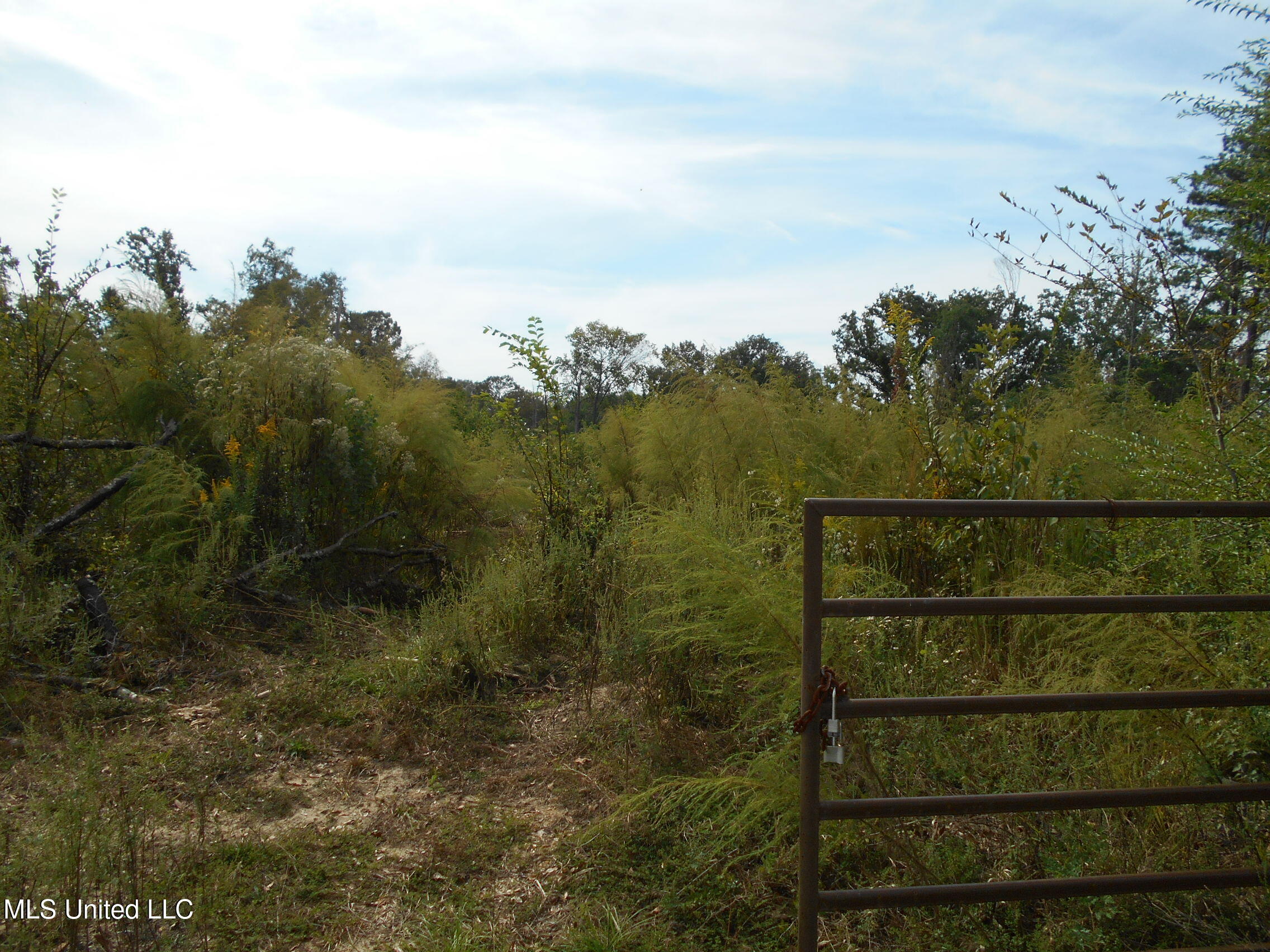 00 E Highway 84 Property Photo 5