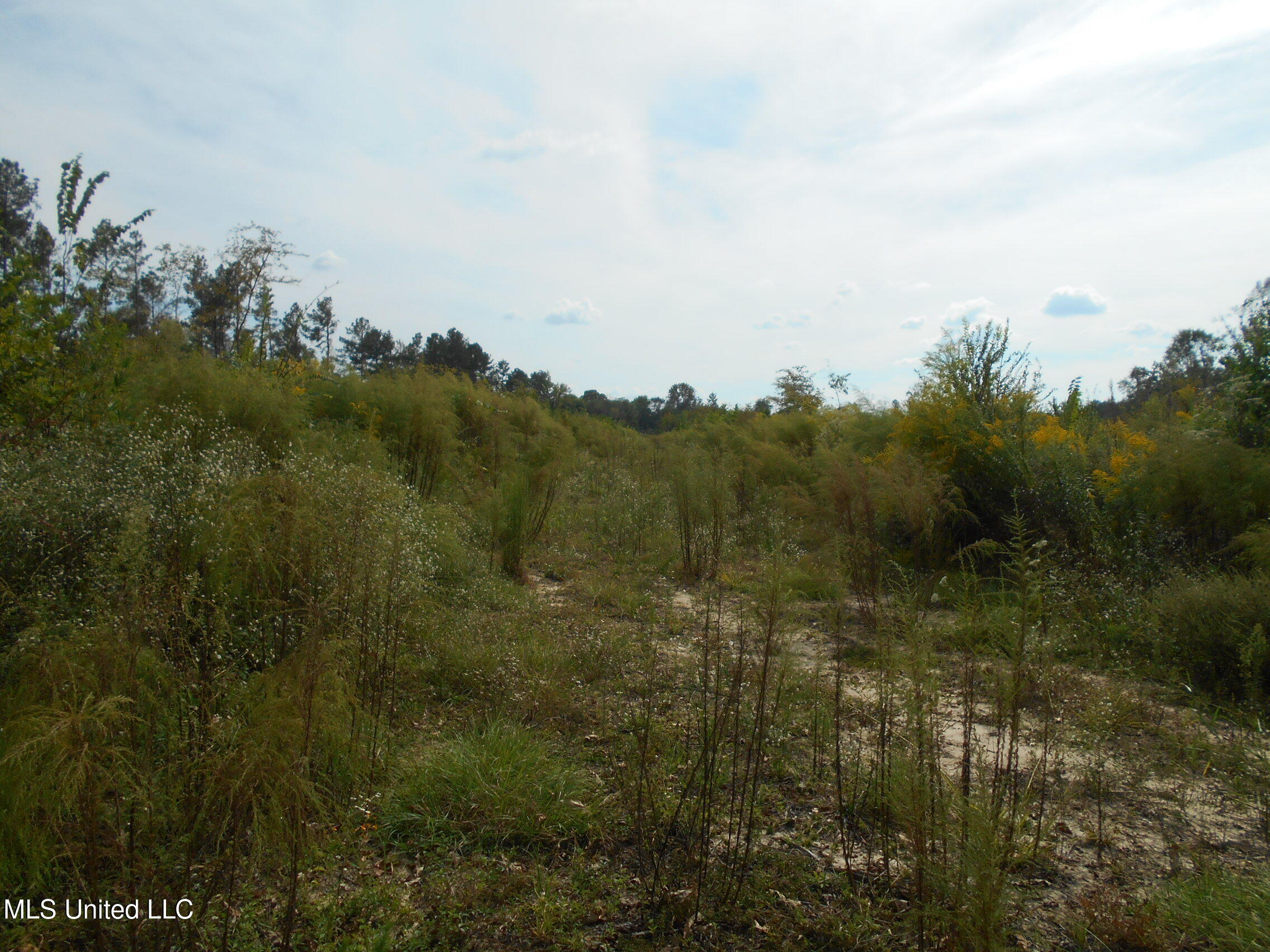 00 E Highway 84 Property Photo 6