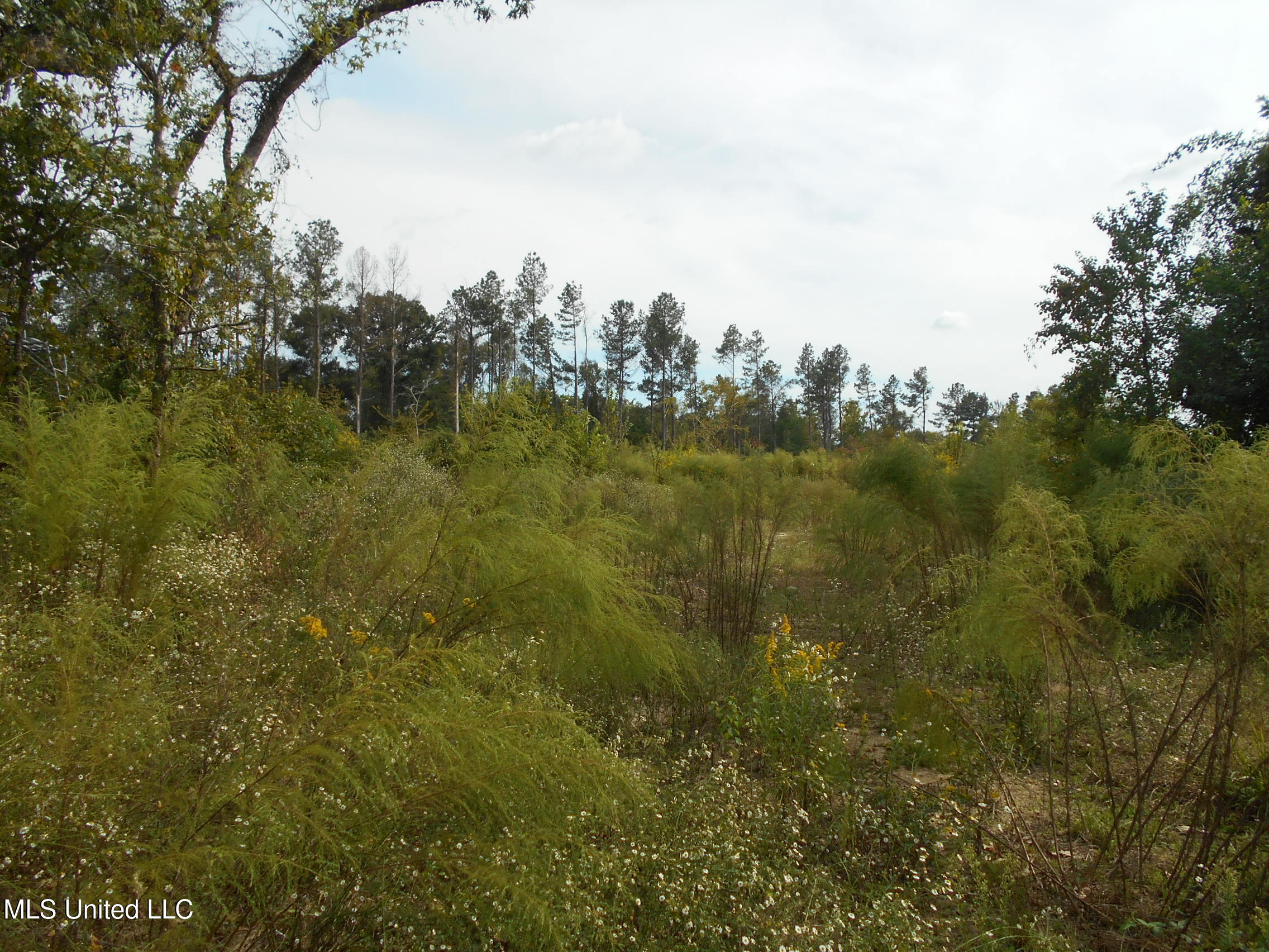 00 E Highway 84 Property Photo 7