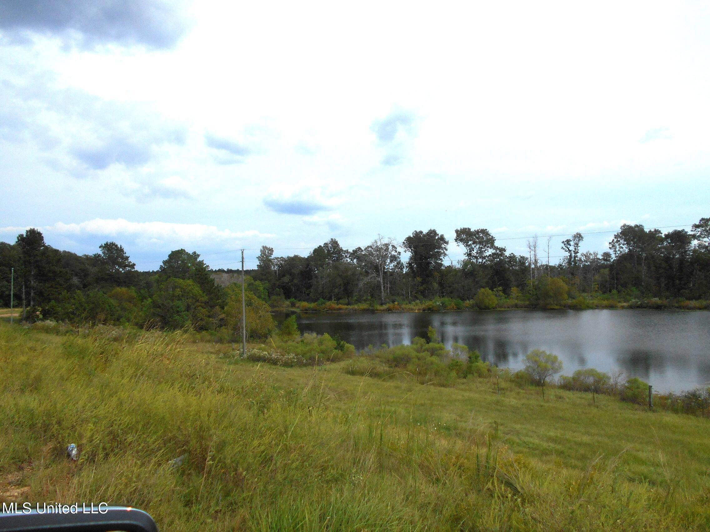 00 E Highway 84 Property Photo 12