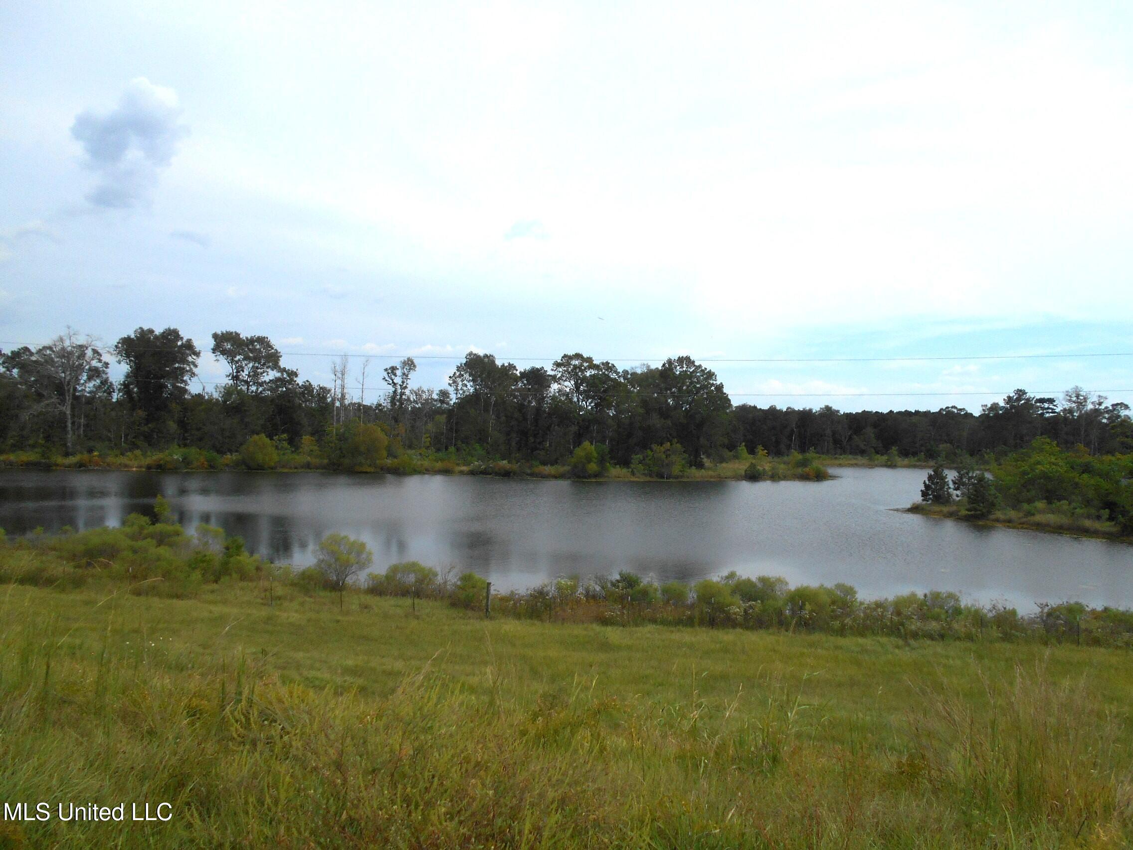 00 E Highway 84 Property Photo 13