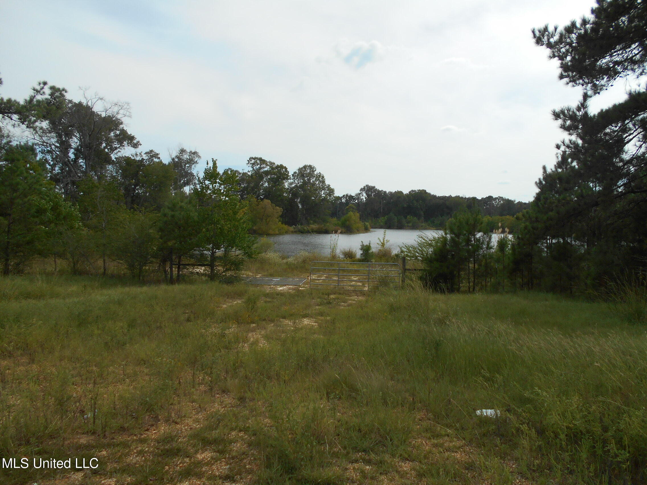 00 E Highway 84 Property Photo 14