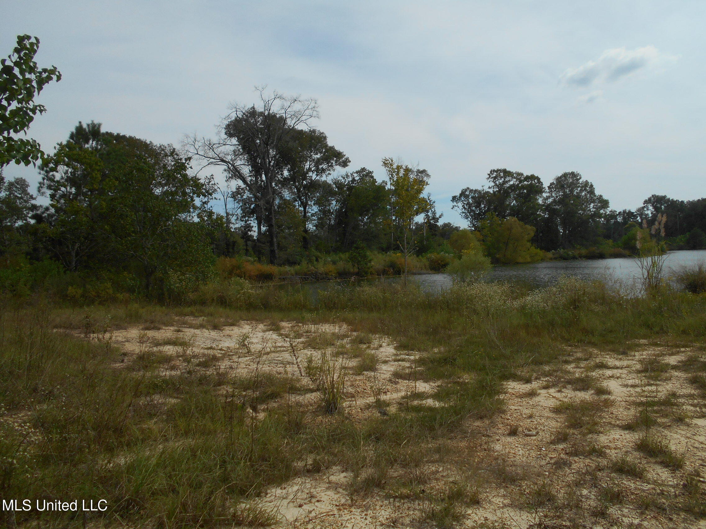 00 E Highway 84 Property Photo 15