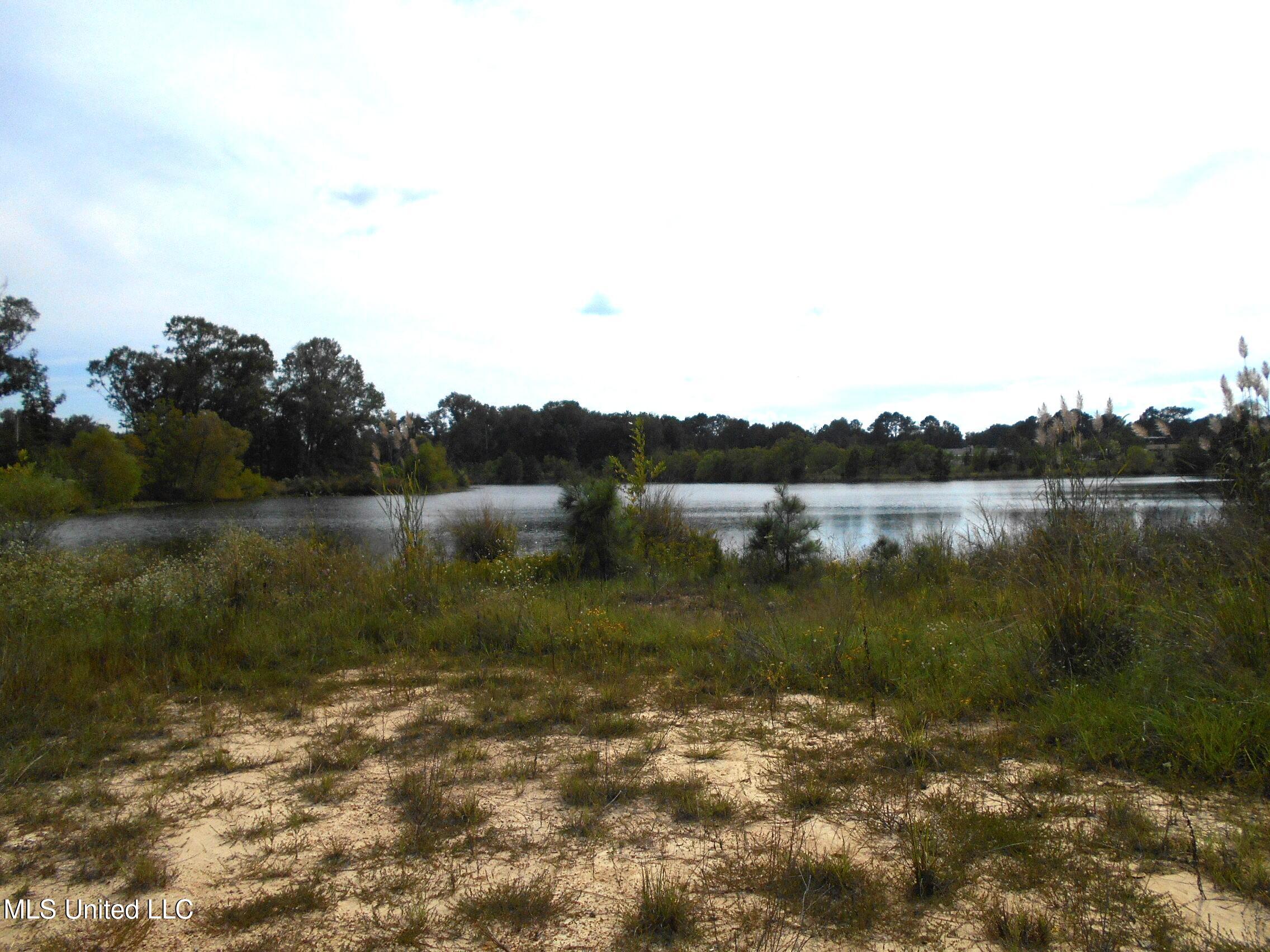 00 E Highway 84 Property Photo 16