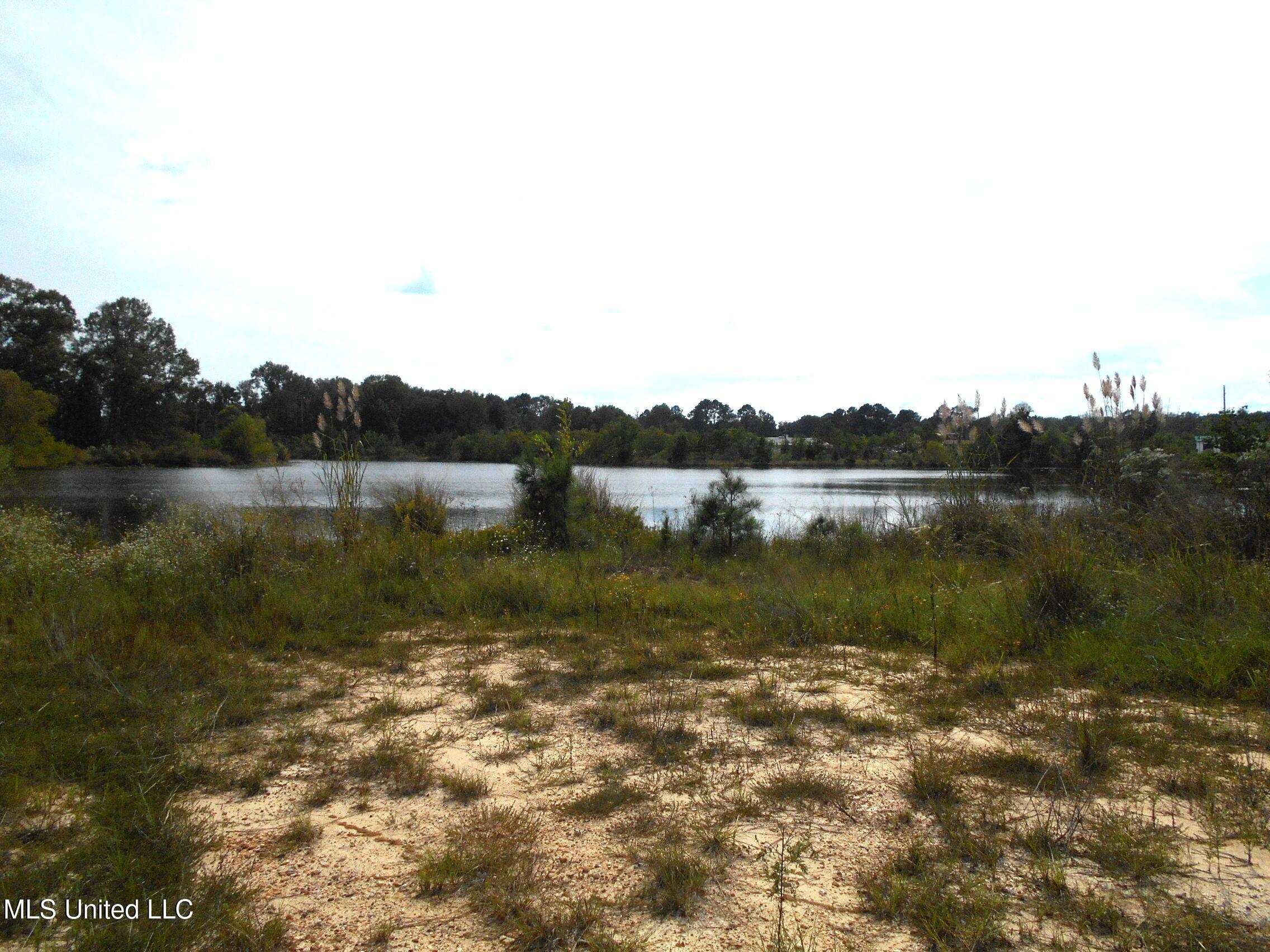 00 E Highway 84 Property Photo 17