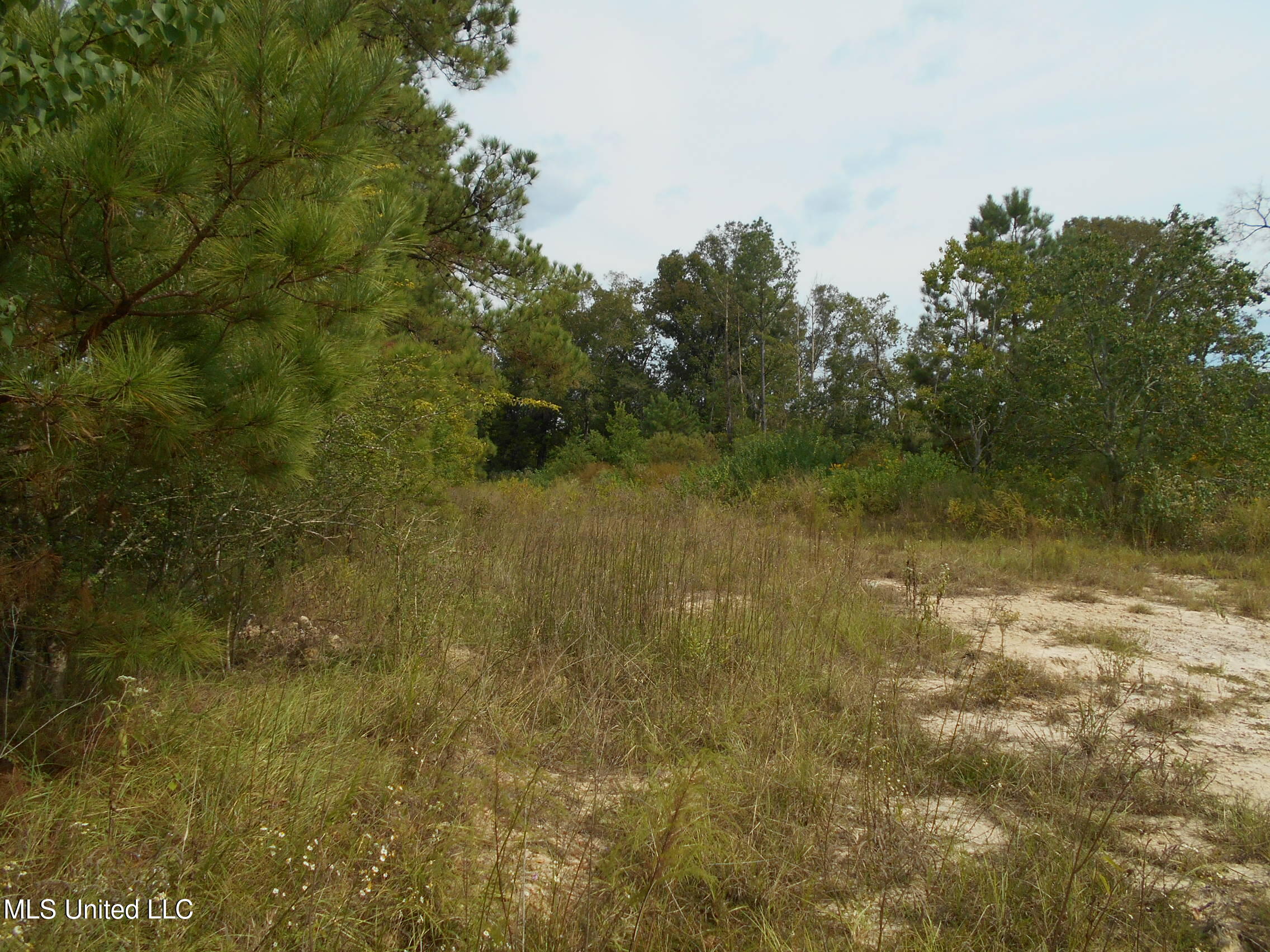 00 E Highway 84 Property Photo 18