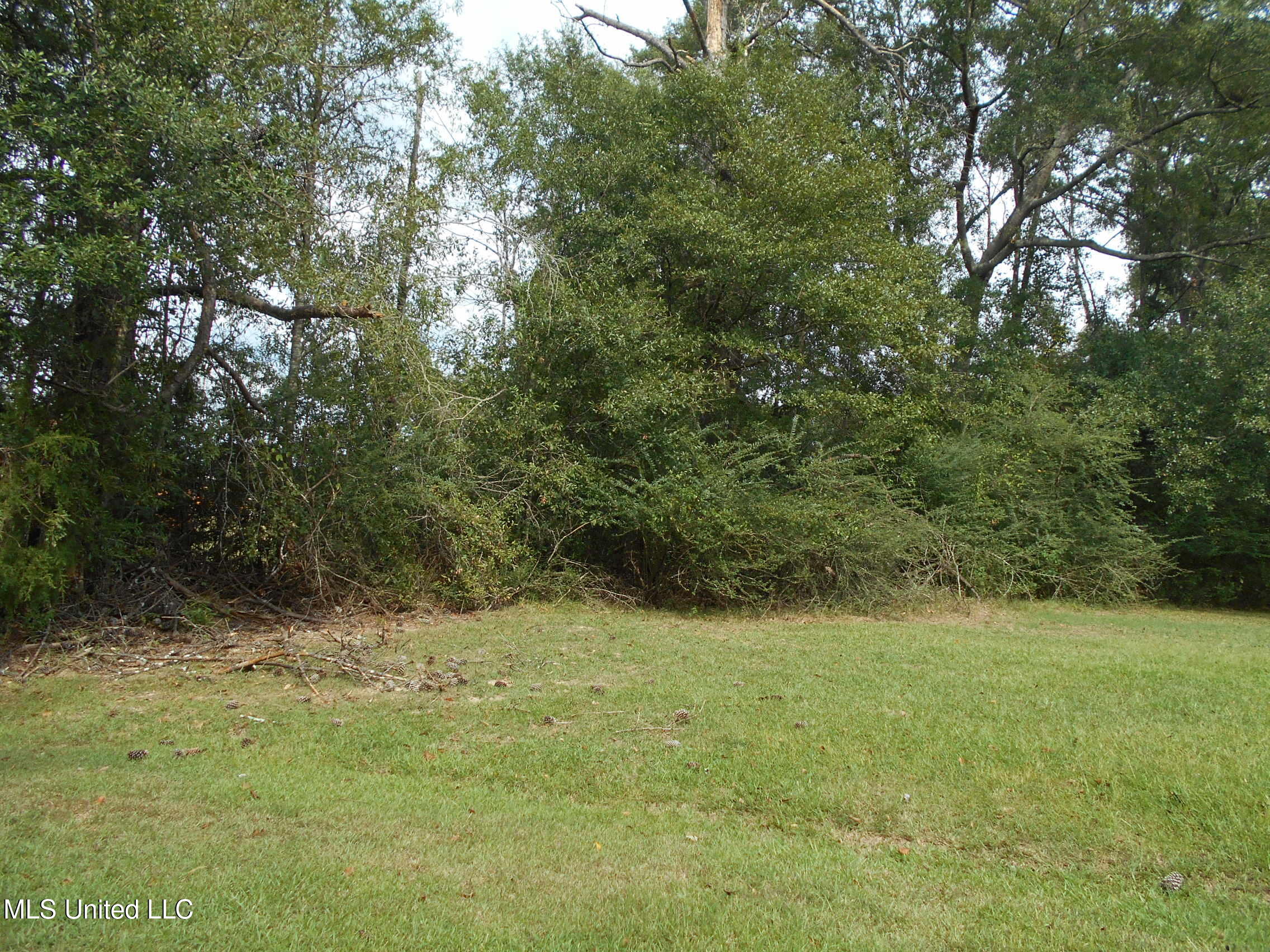 00 E Highway 84 Property Photo 19