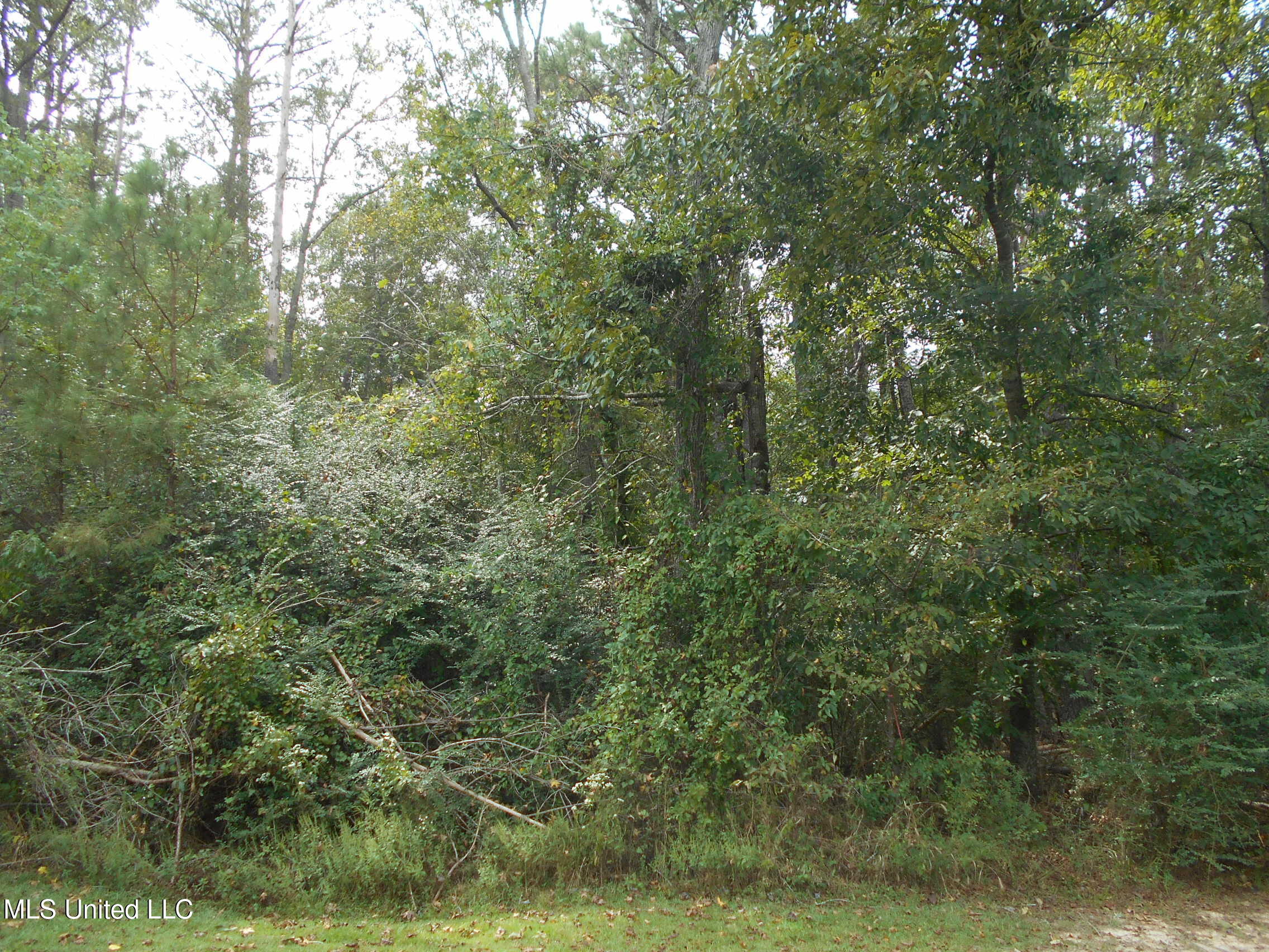 00 E Highway 84 Property Photo 21