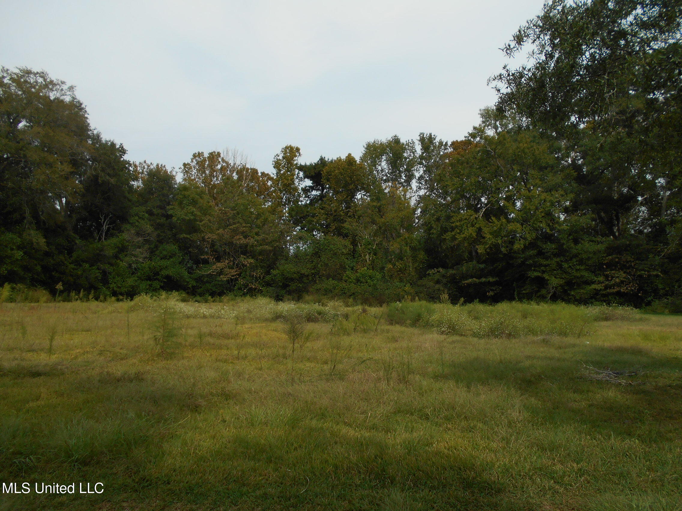 00 E Highway 84 Property Photo 22