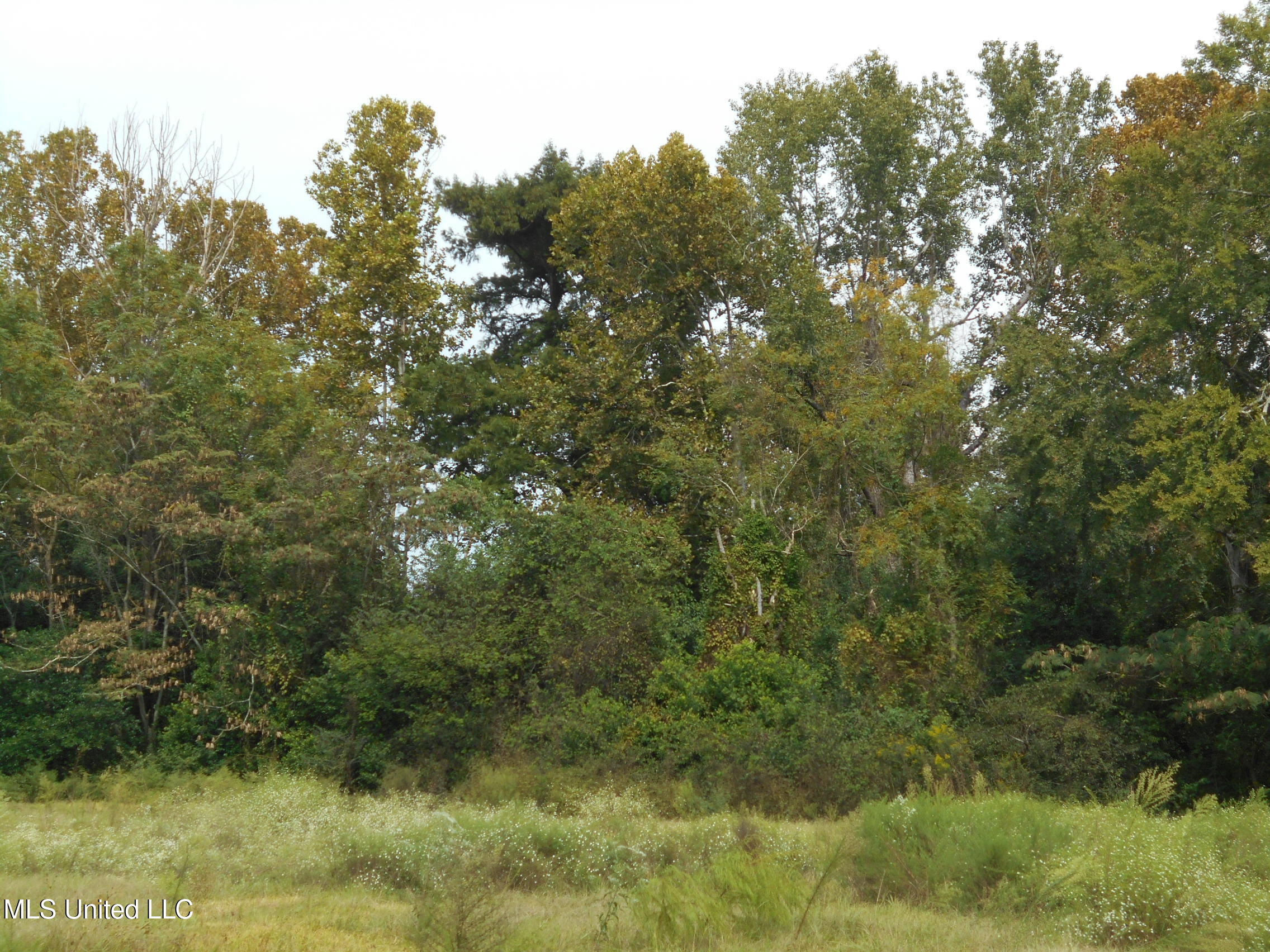 00 E Highway 84 Property Photo 23