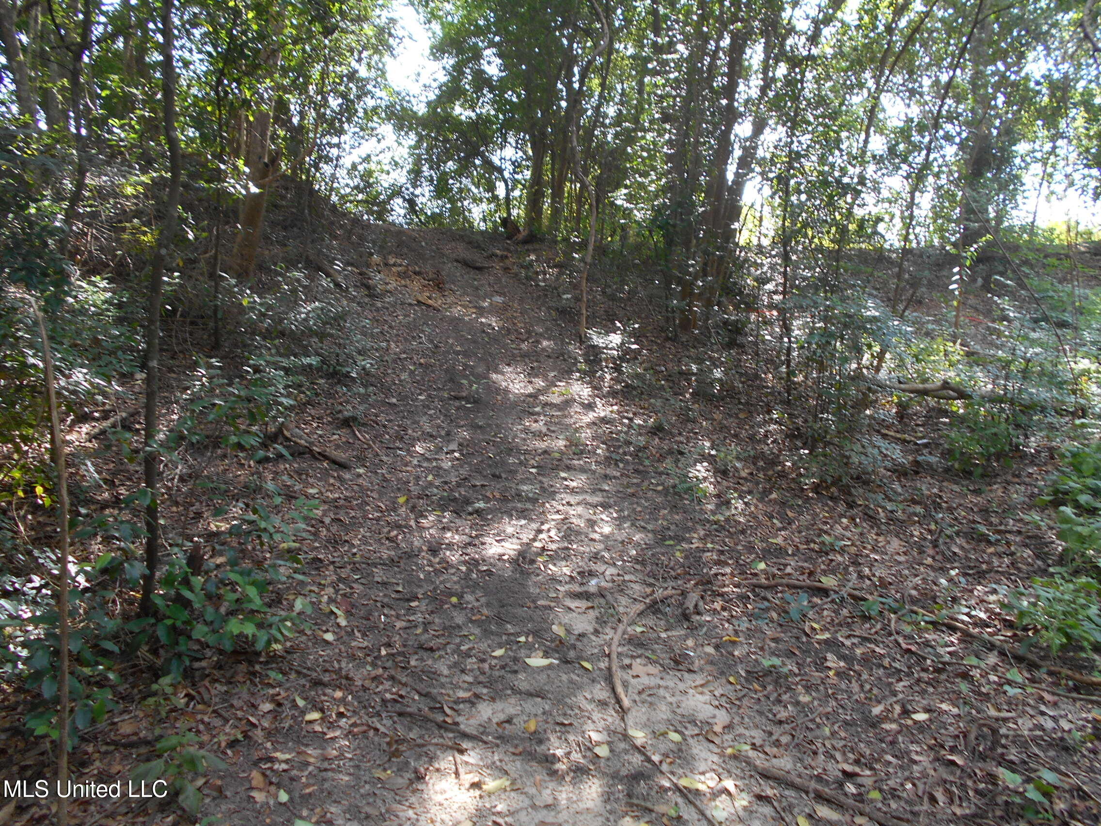 00 E Highway 84 Property Photo 25