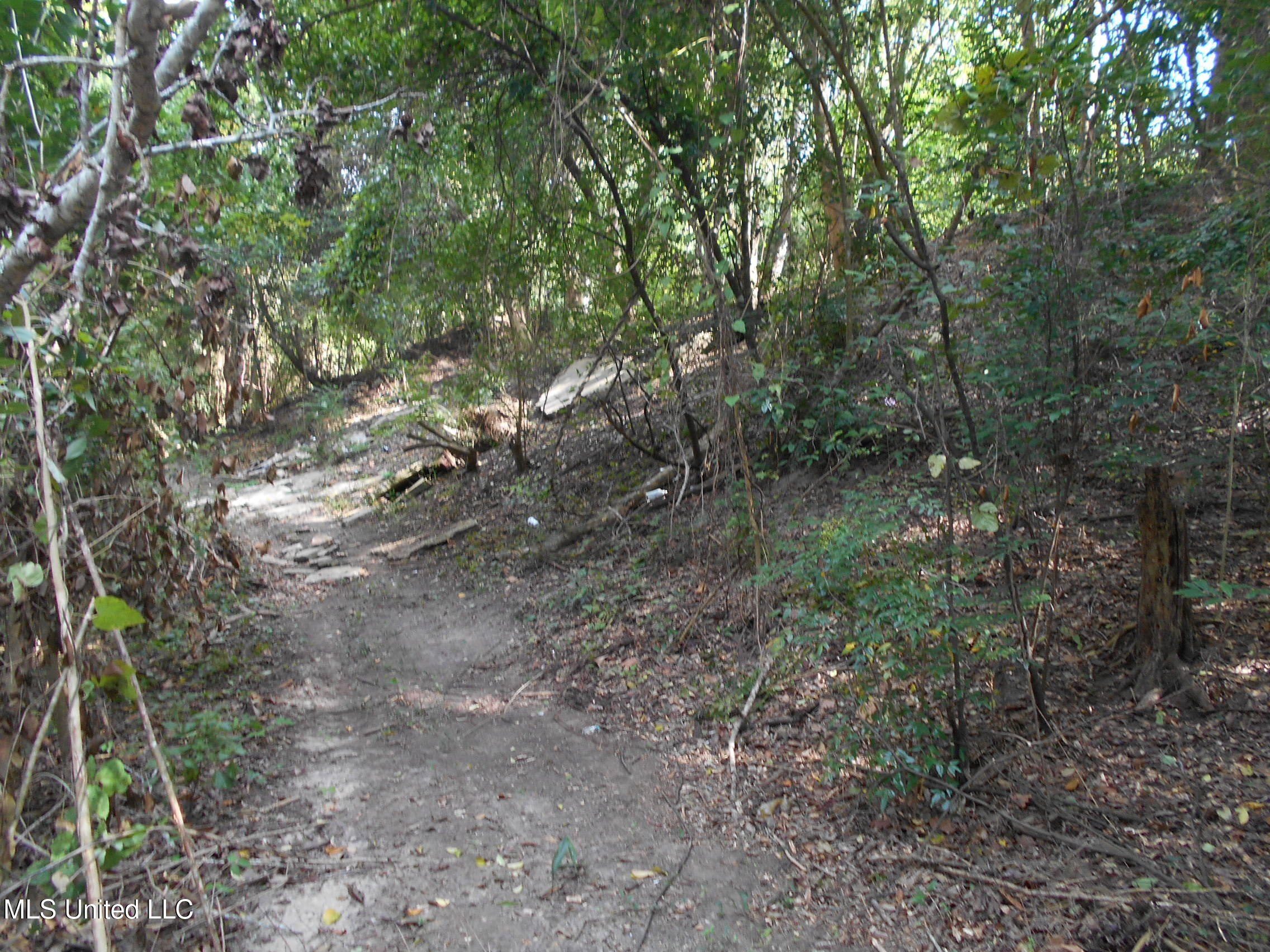 00 E Highway 84 Property Photo 26