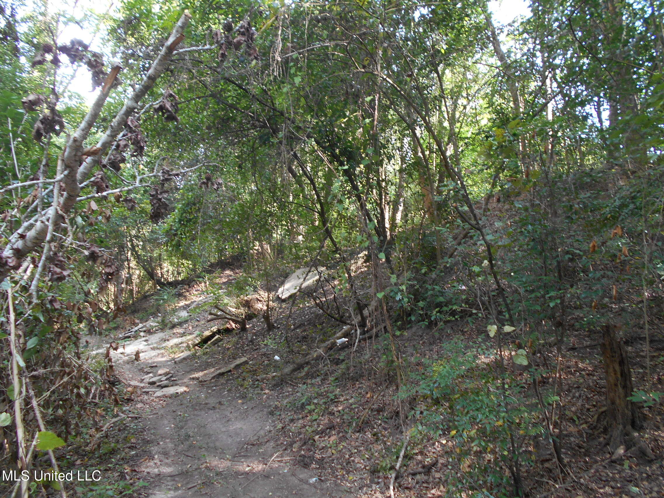 00 E Highway 84 Property Photo 27