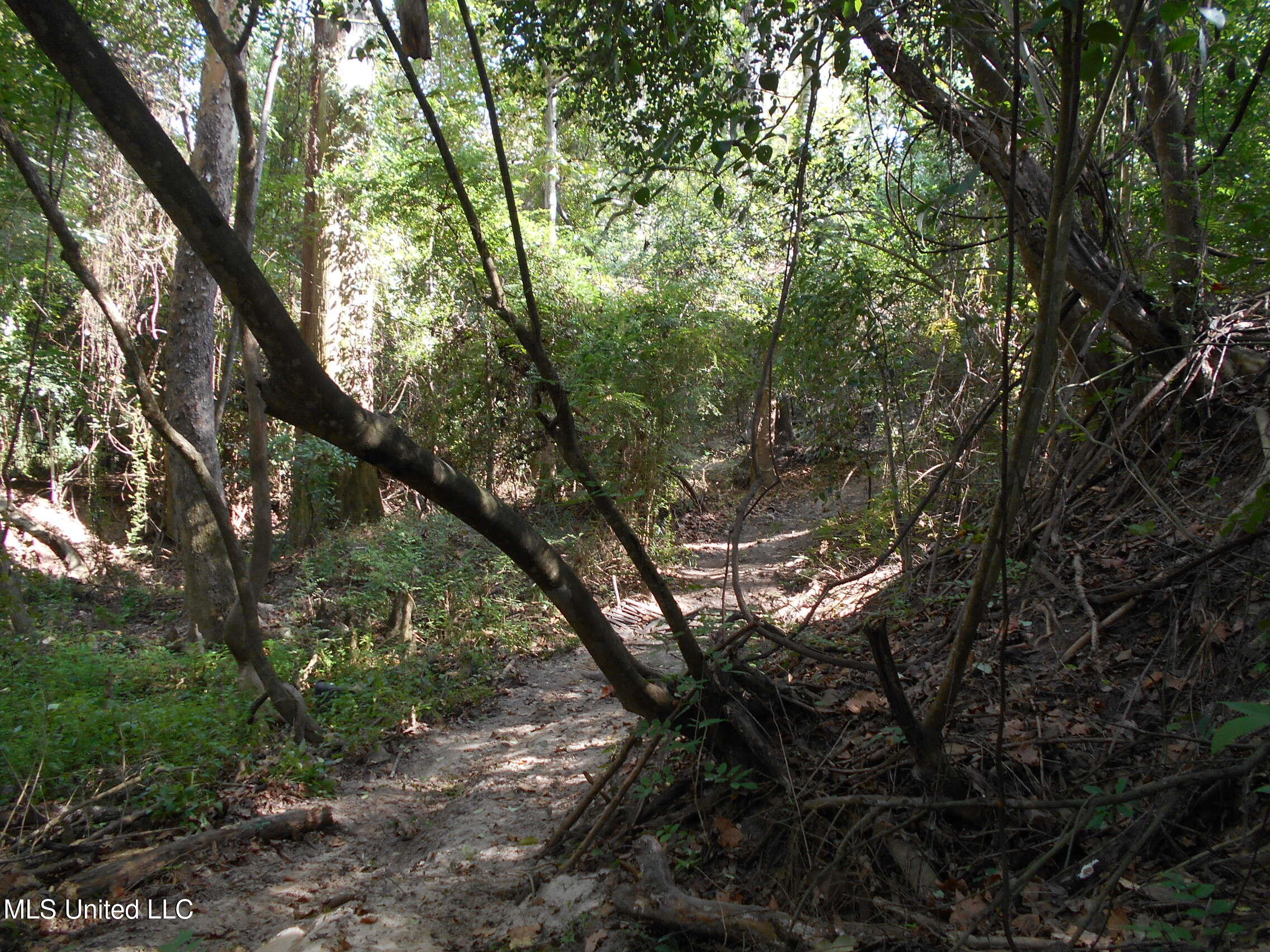 00 E Highway 84 Property Photo 28