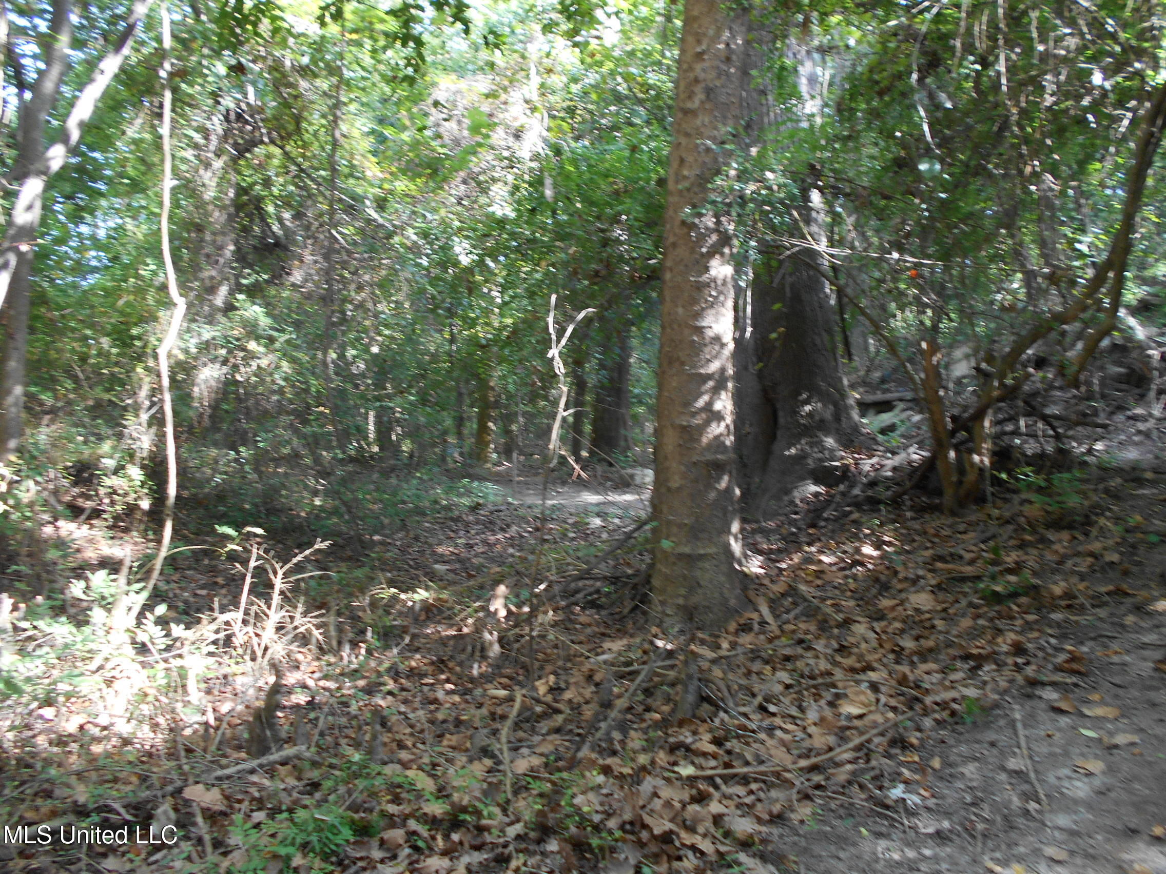 00 E Highway 84 Property Photo 29