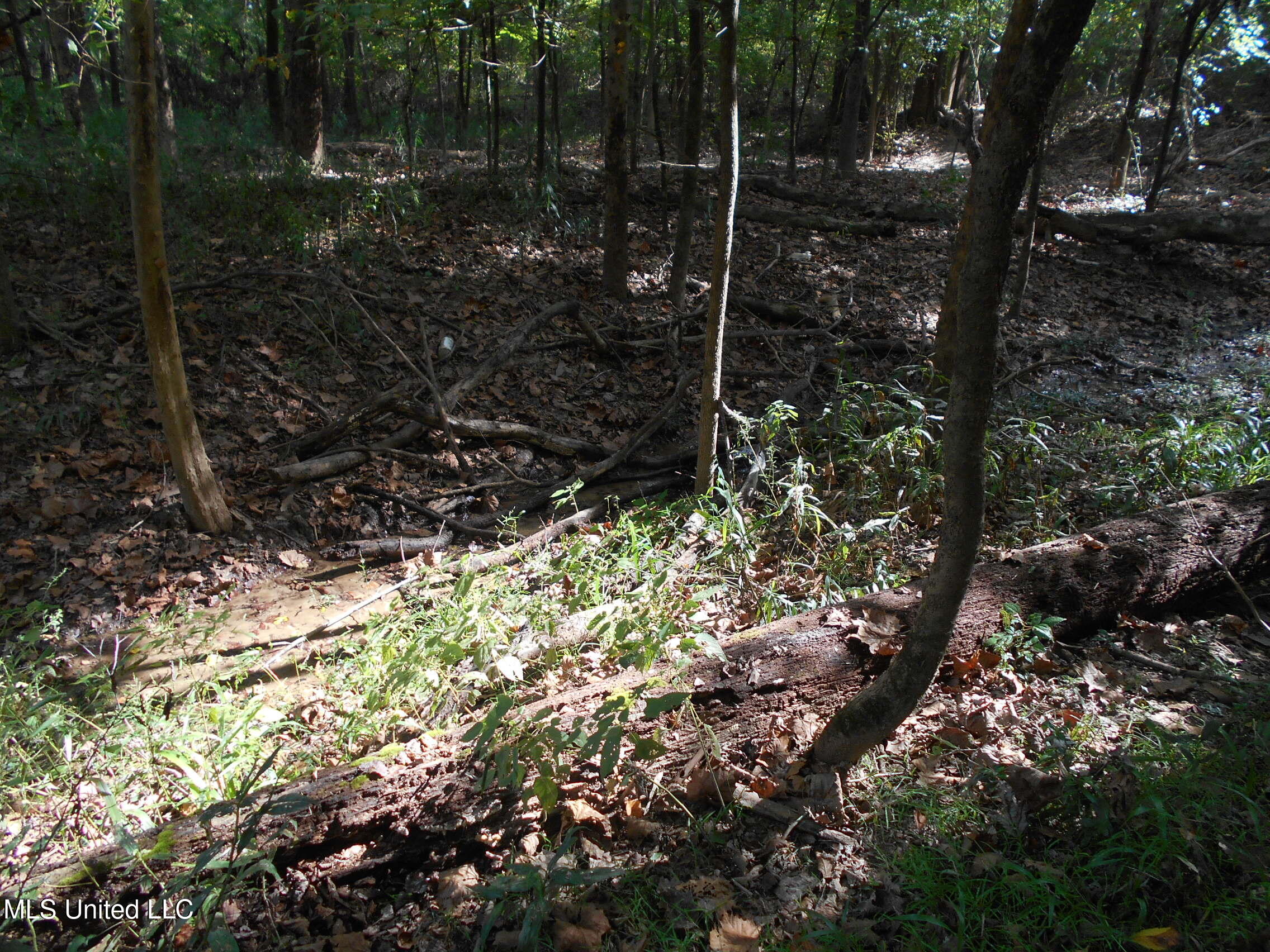 00 E Highway 84 Property Photo 30