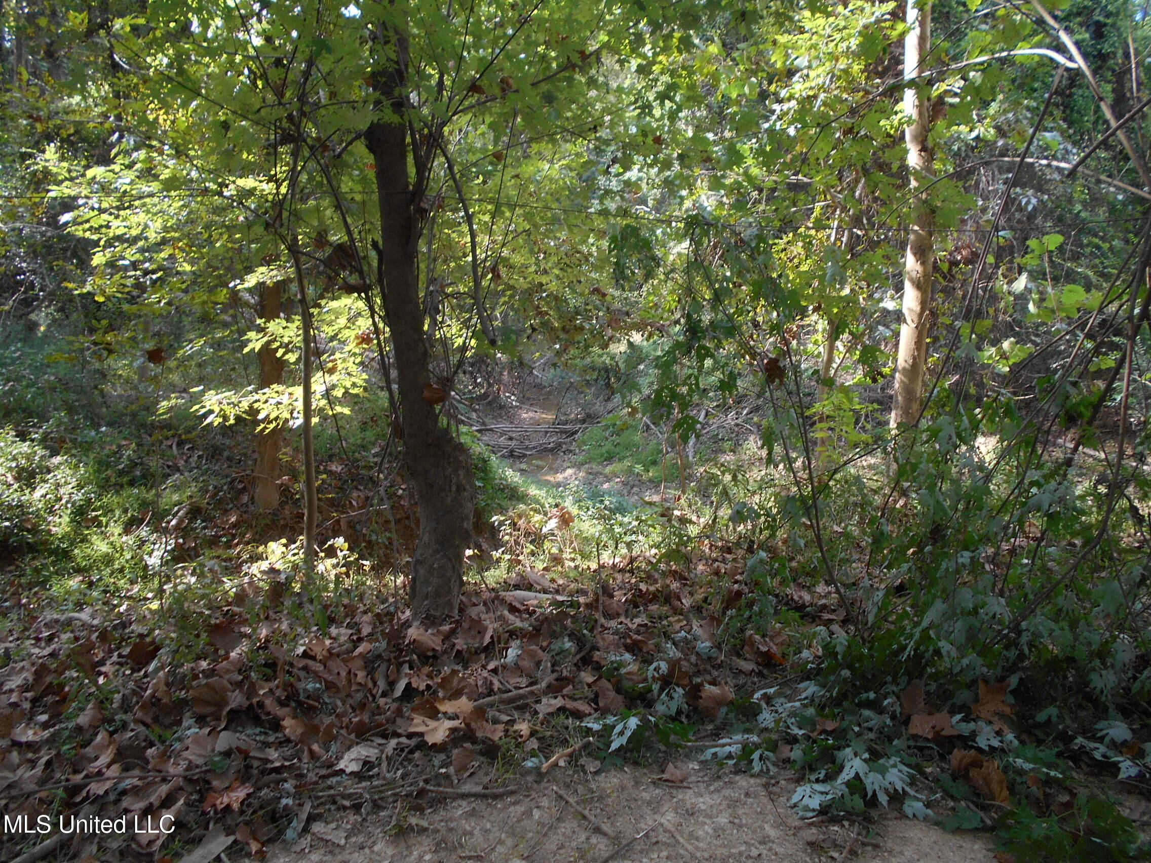 00 E Highway 84 Property Photo 31