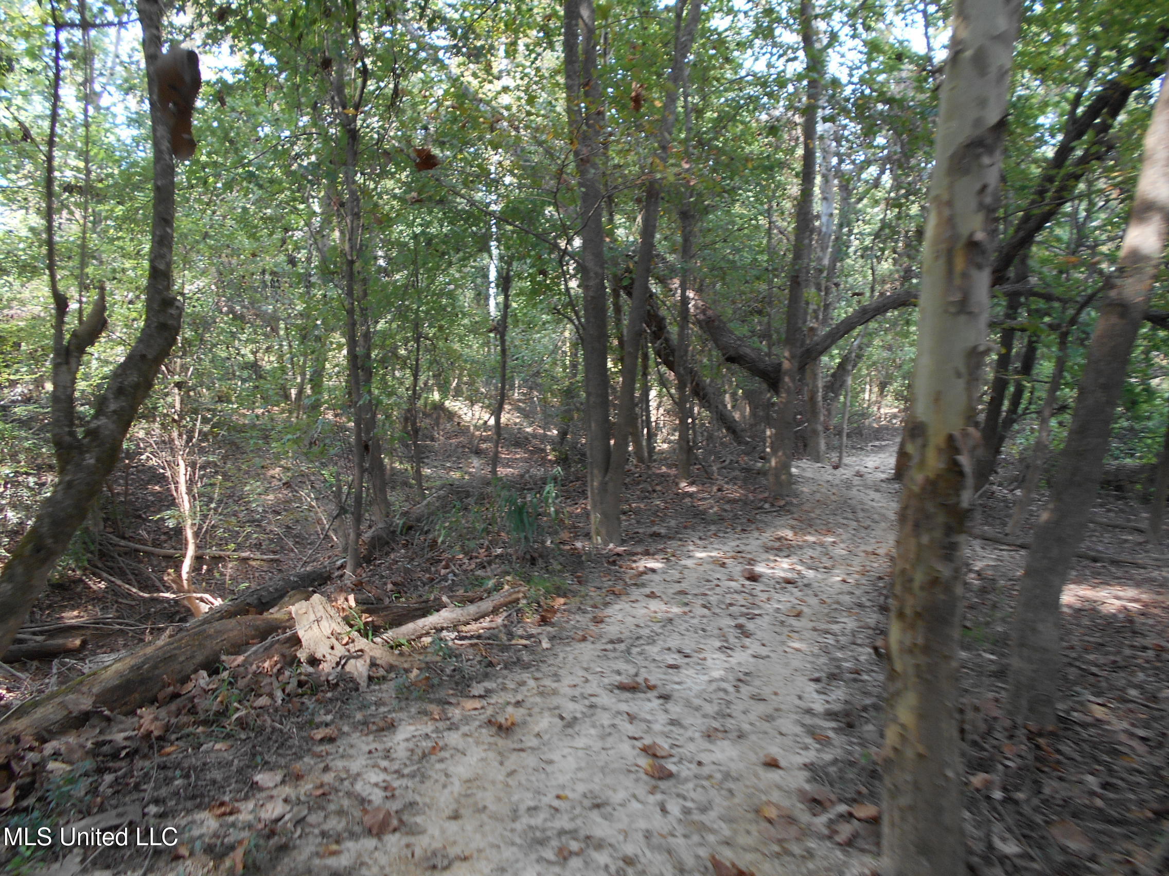 00 E Highway 84 Property Photo 32