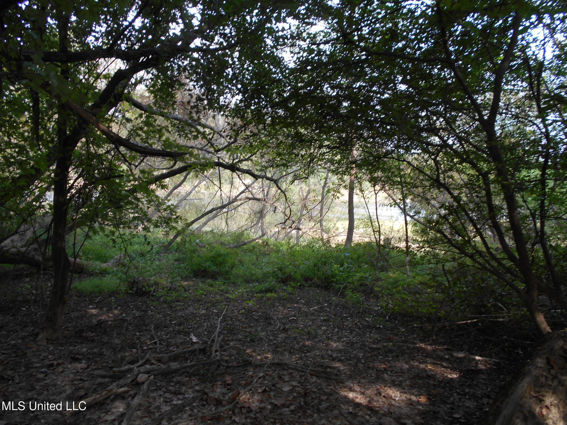 00 E Highway 84 Property Photo 33