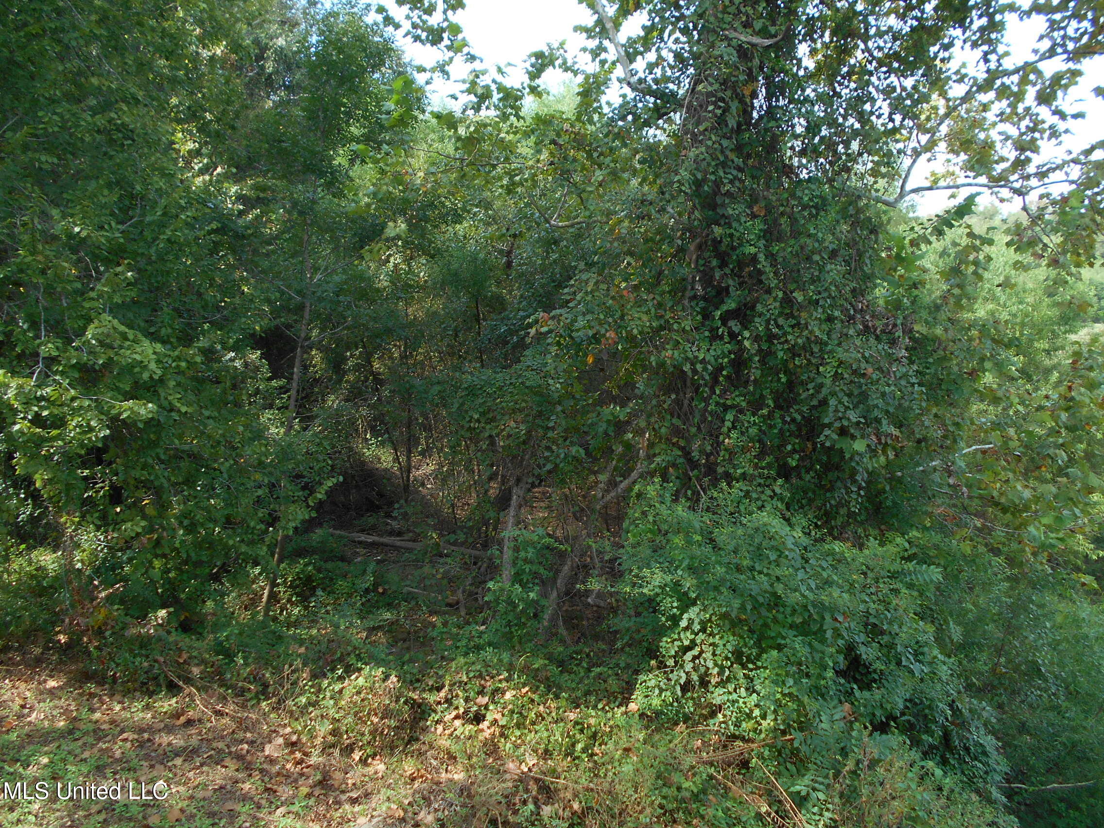 00 E Highway 84 Property Photo 34