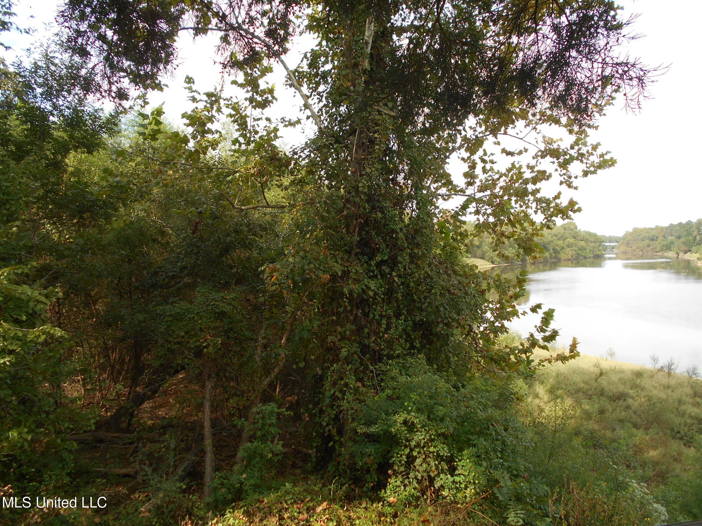 00 E Highway 84 Property Photo 35