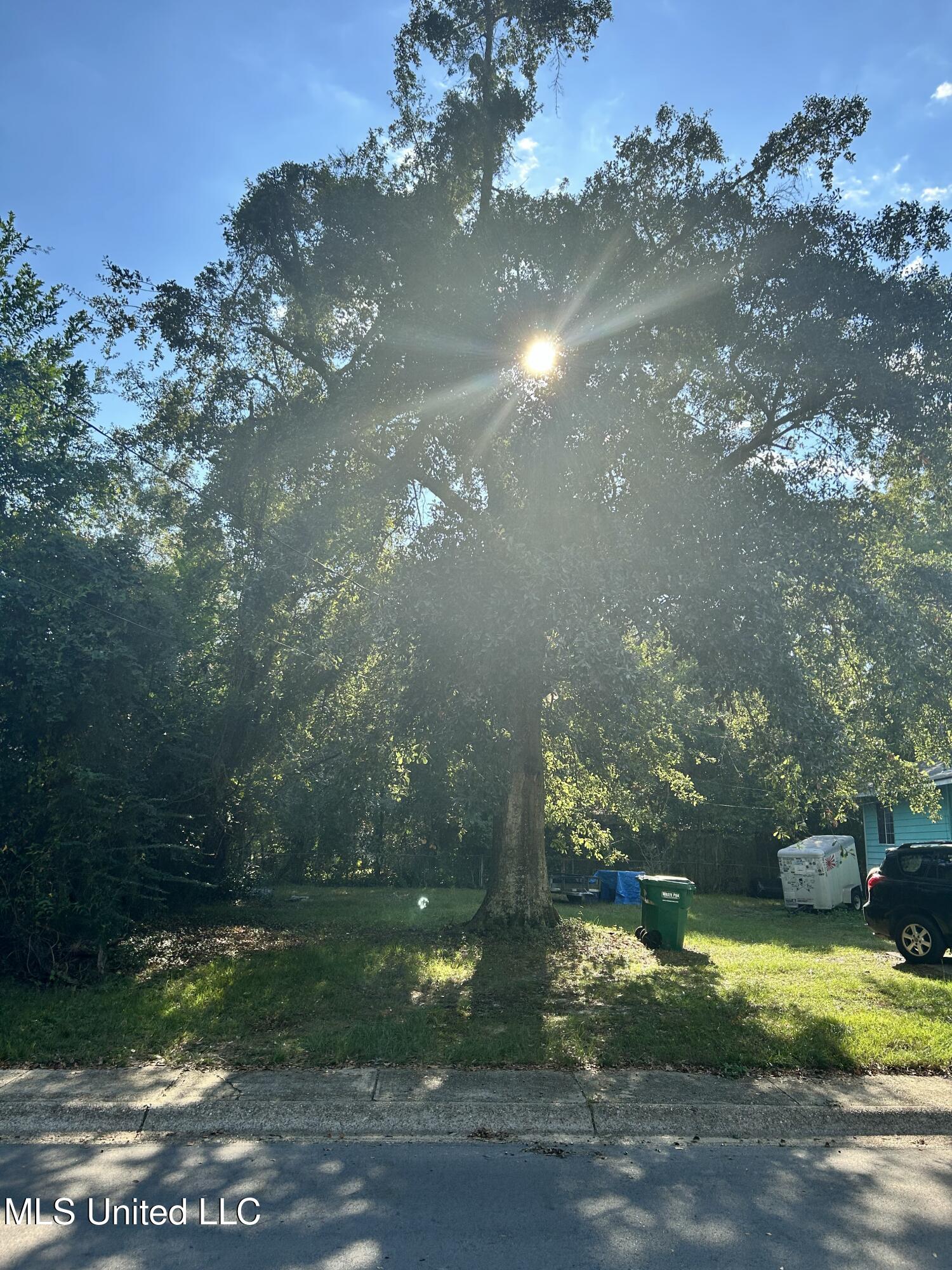 Dixie Avenue Property Photo 2