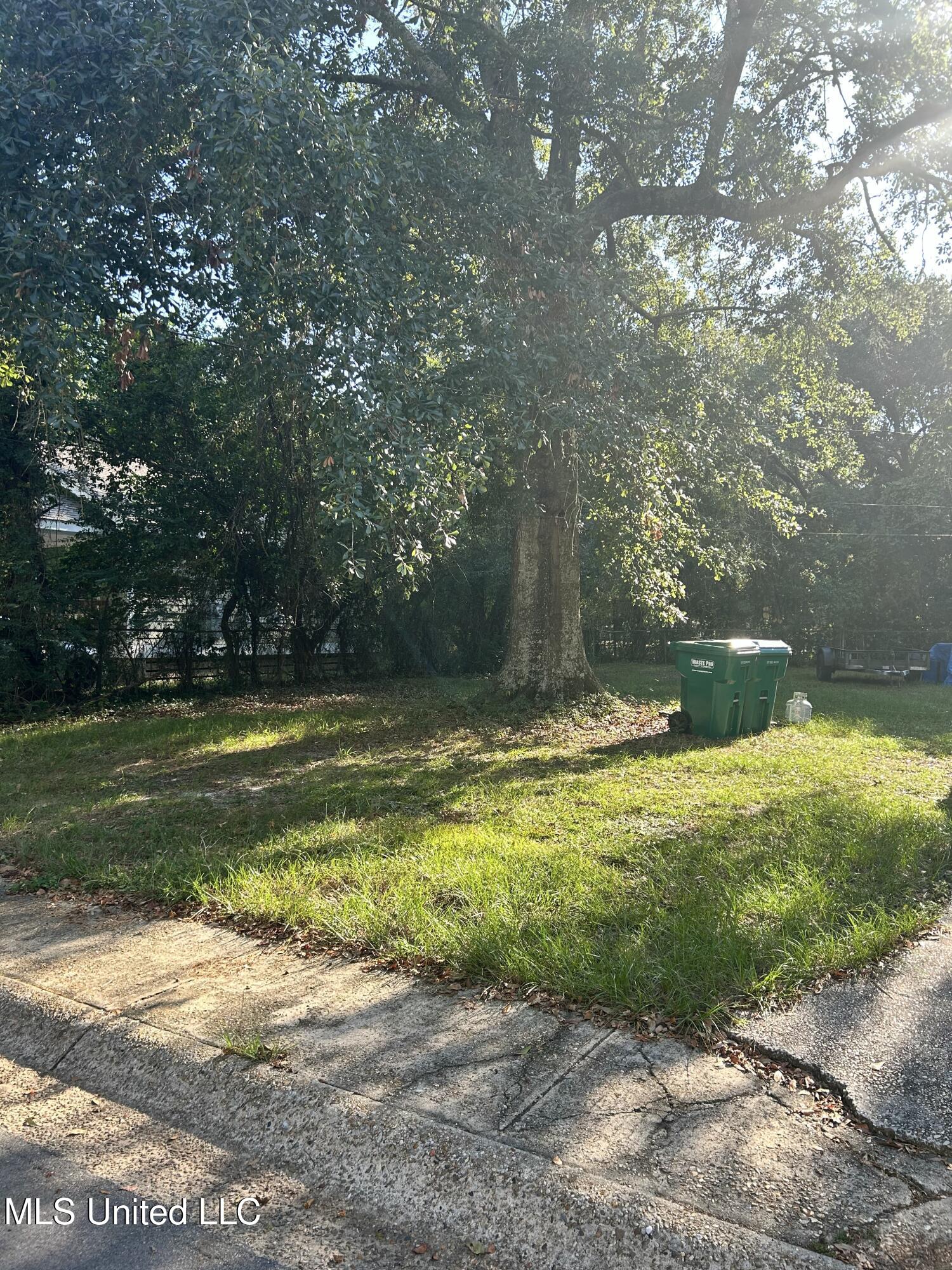 Dixie Avenue Property Photo 3