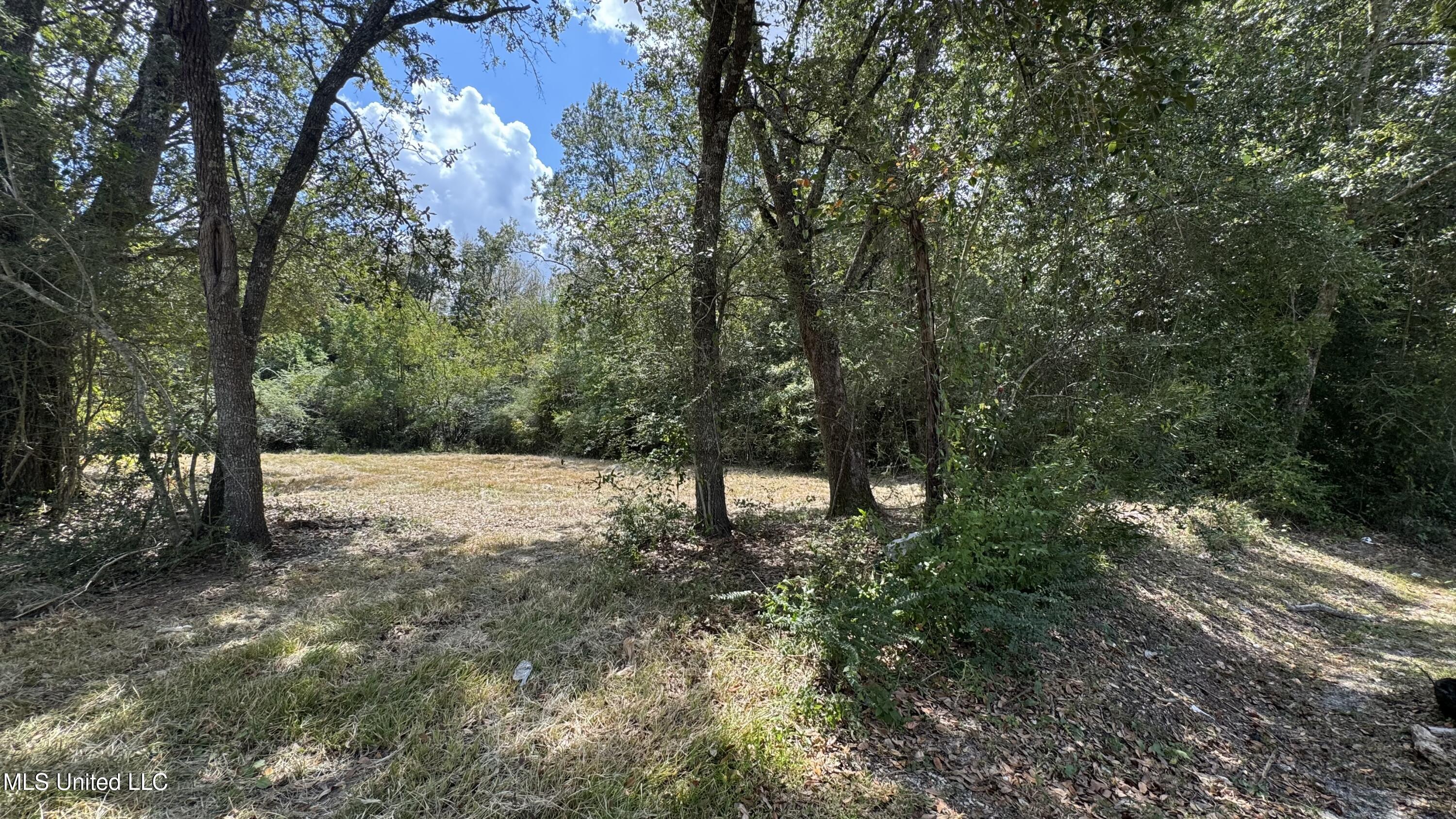 0 0 O'neal Road Property Photo 1