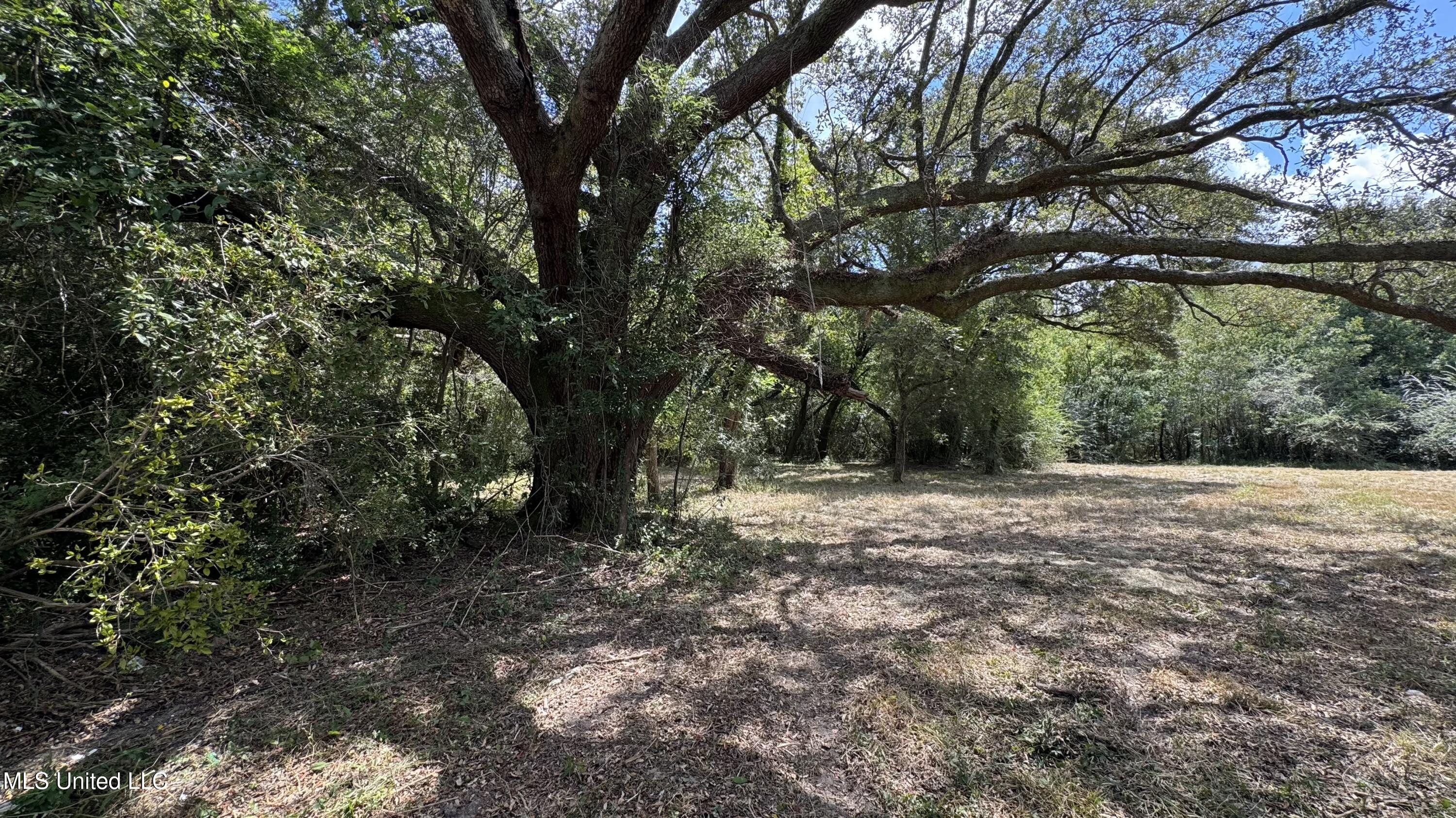 0 0 O'neal Road Property Photo 2