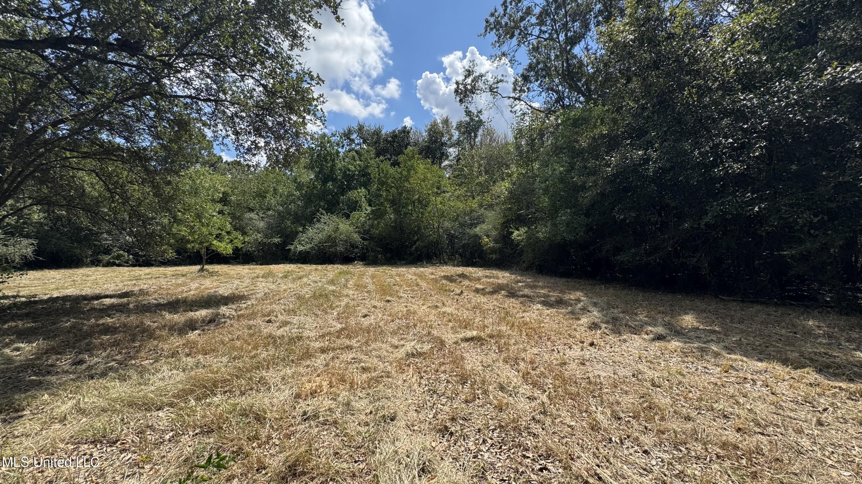 0 0 O'neal Road Property Photo 3