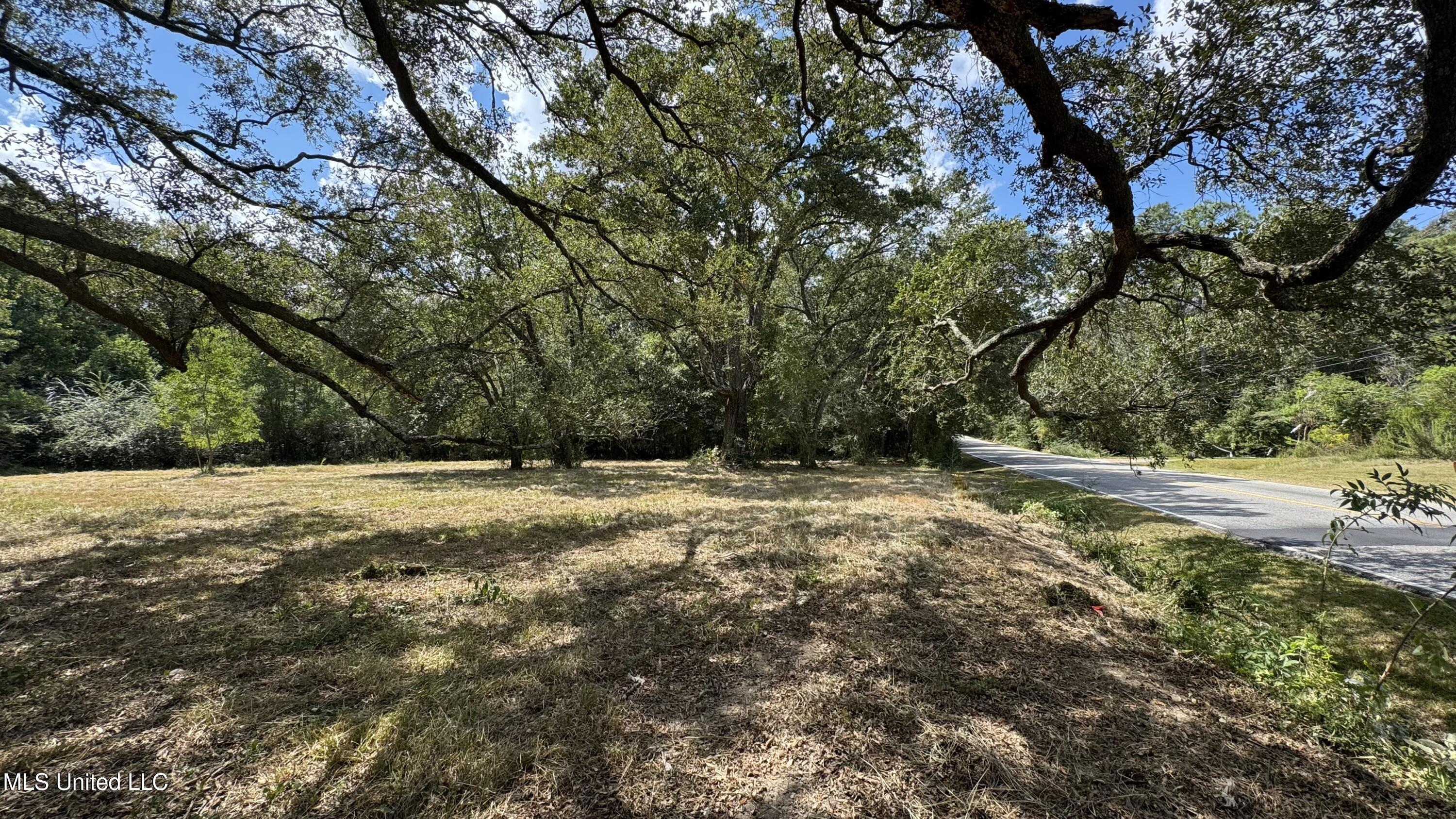 0 O'Neal Road Property Photo 1