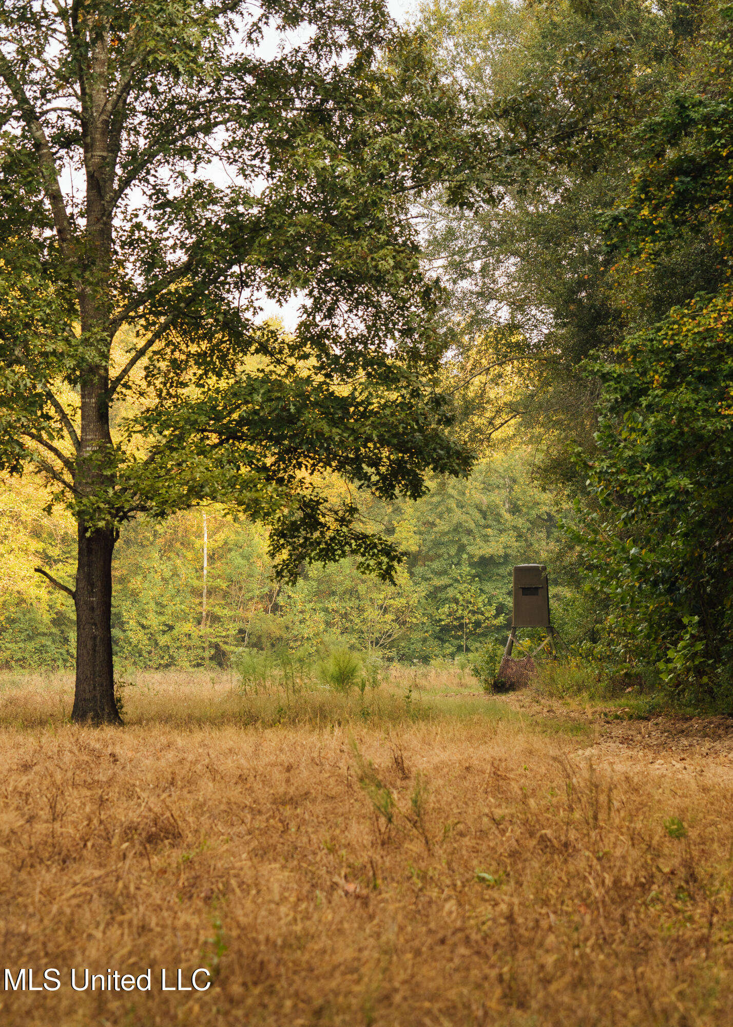 Pea Ridge Rd Property Photo 1