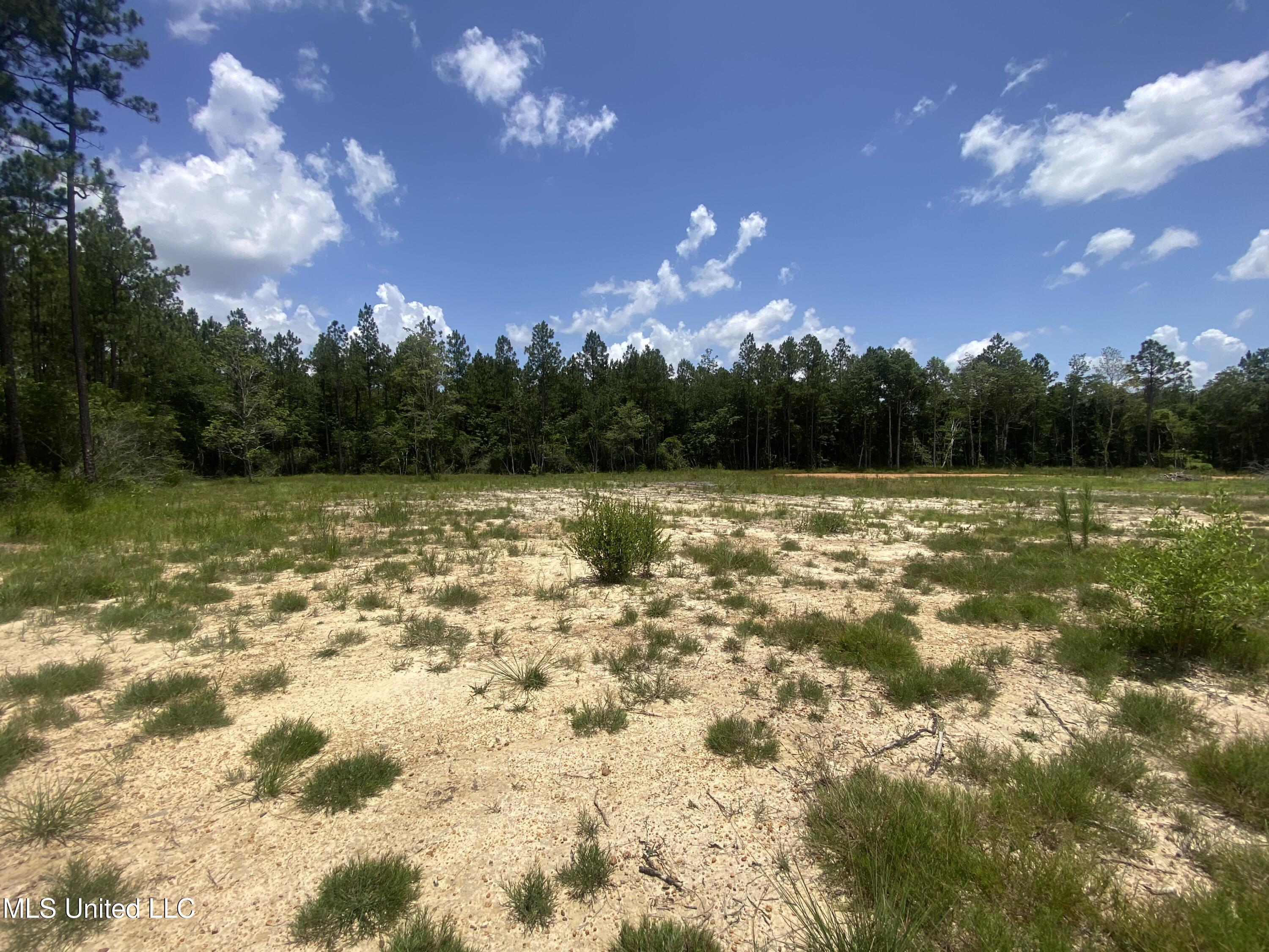 Lot 28 Oak Terrace Drive Property Photo 4