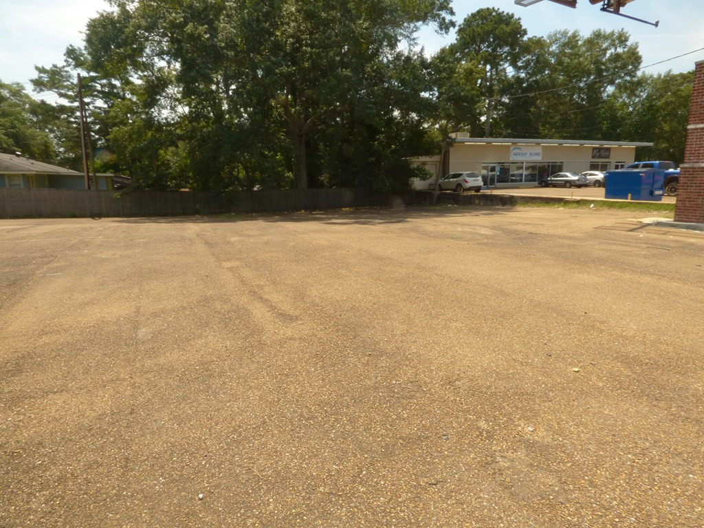 1313 Delaware Avenue Property Photo 8