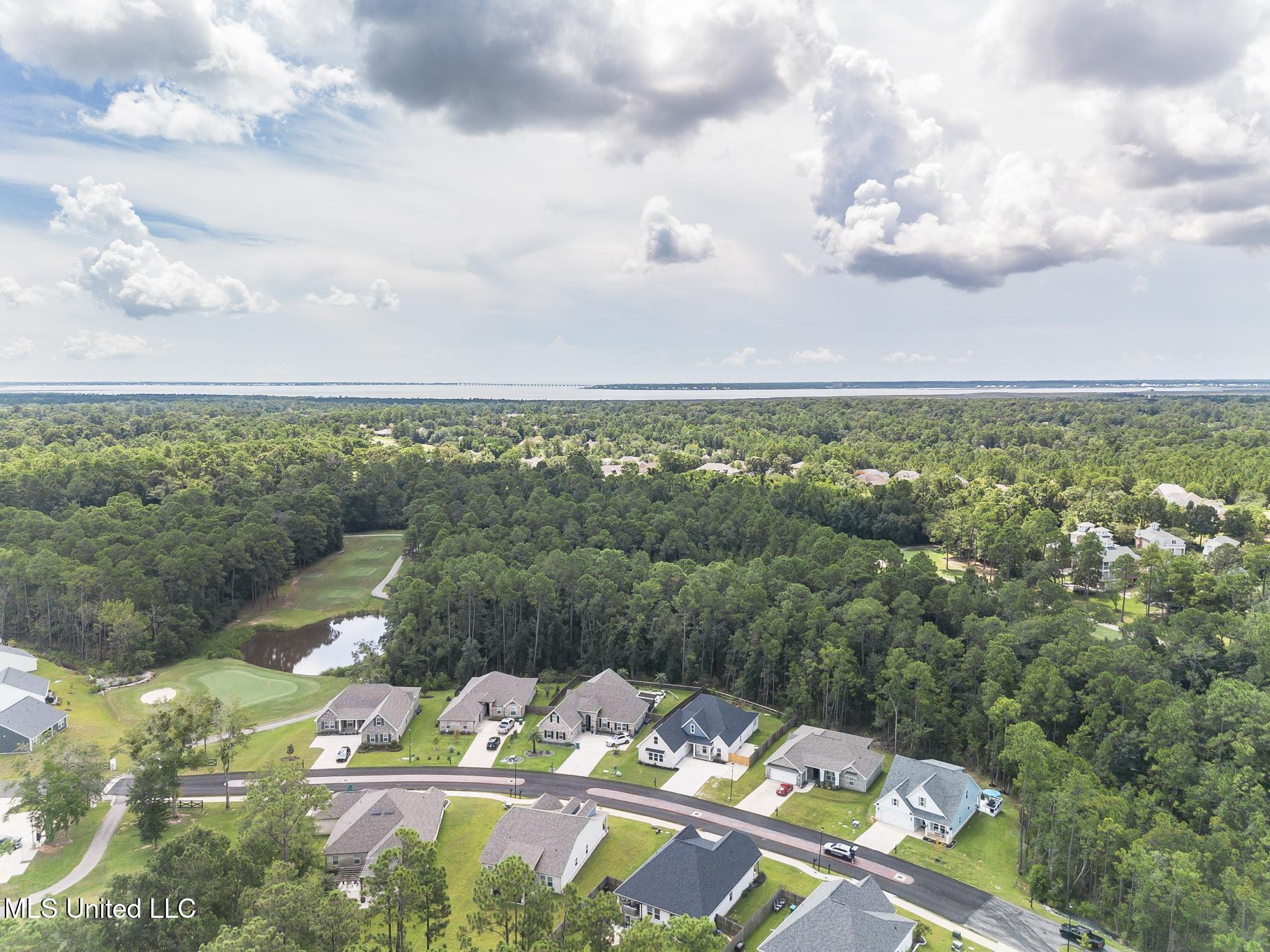 85010 Diamondhead Lakes Boulevard Property Photo 3