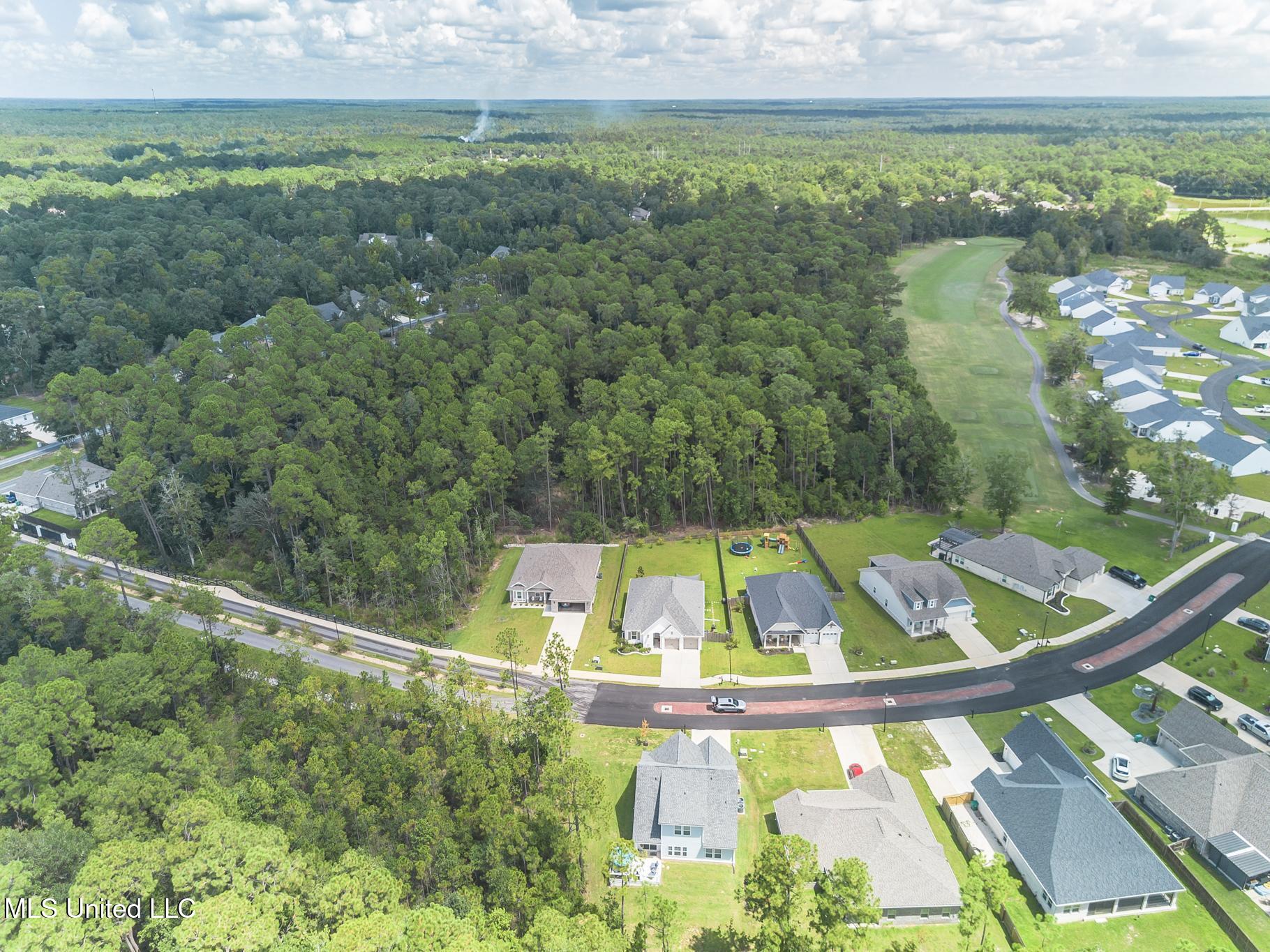85010 Diamondhead Lakes Boulevard Property Photo 34