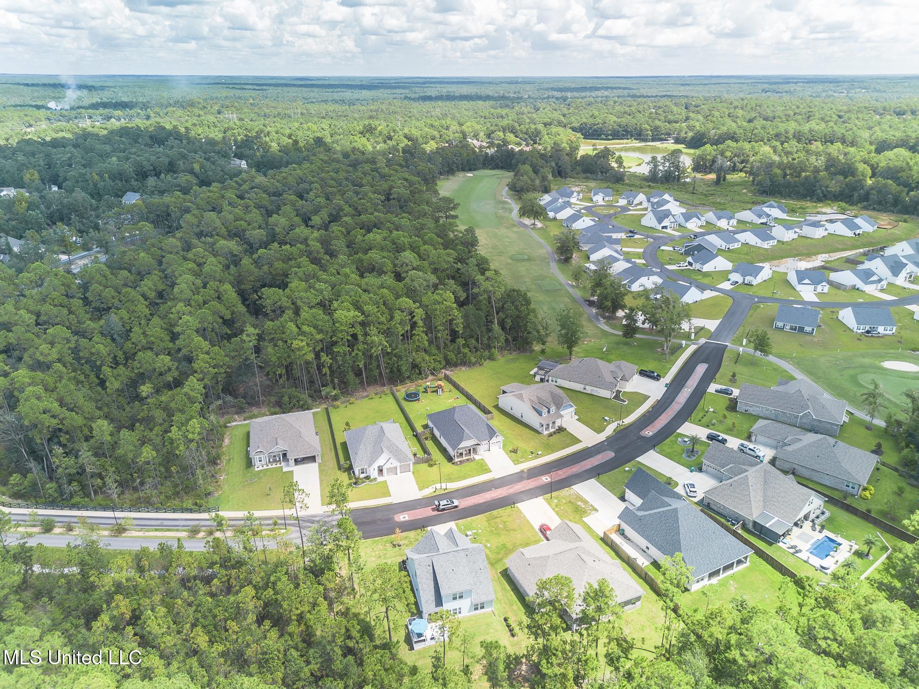 85010 Diamondhead Lakes Boulevard Property Photo 35