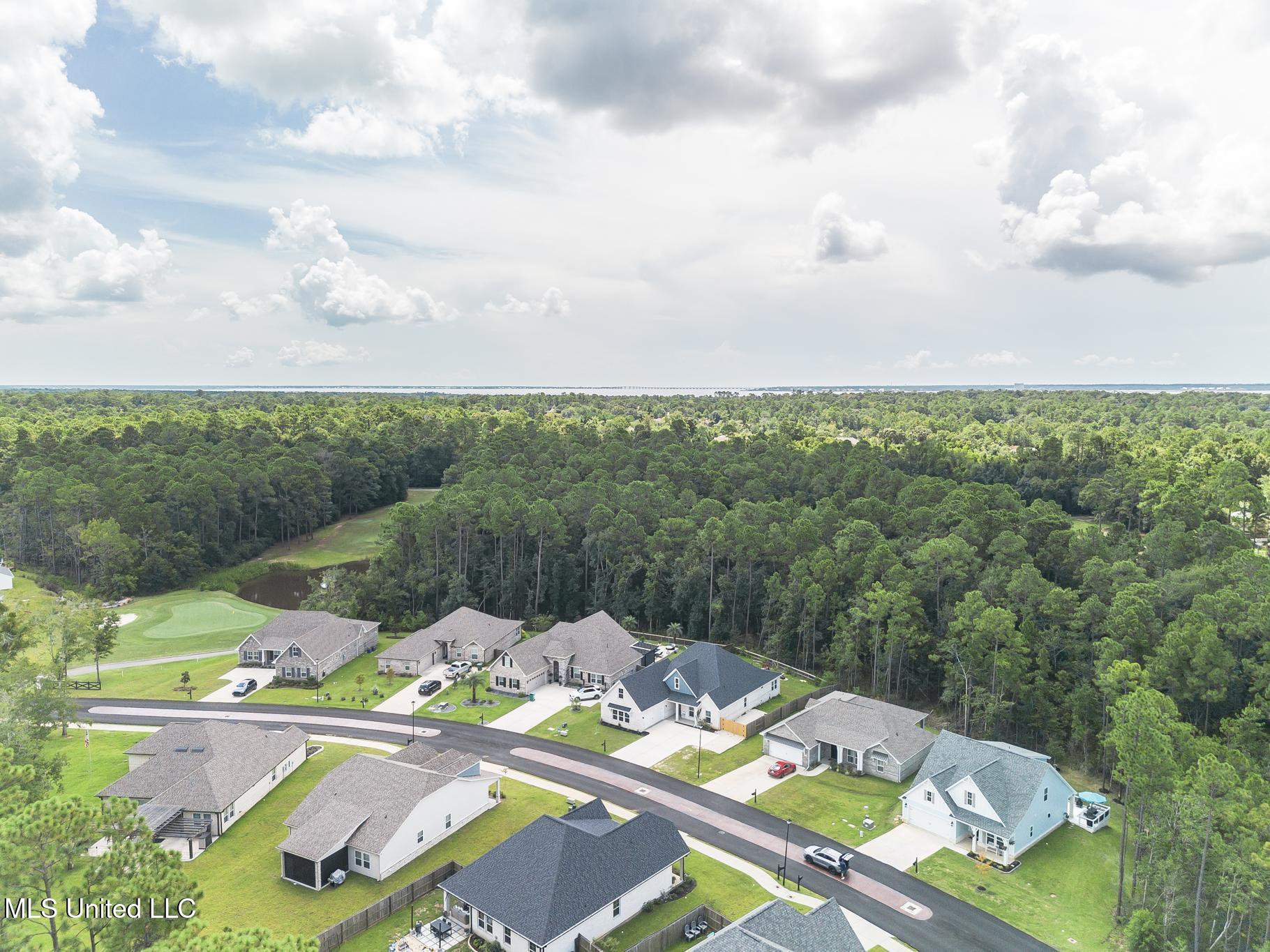 85010 Diamondhead Lakes Boulevard Property Photo 36