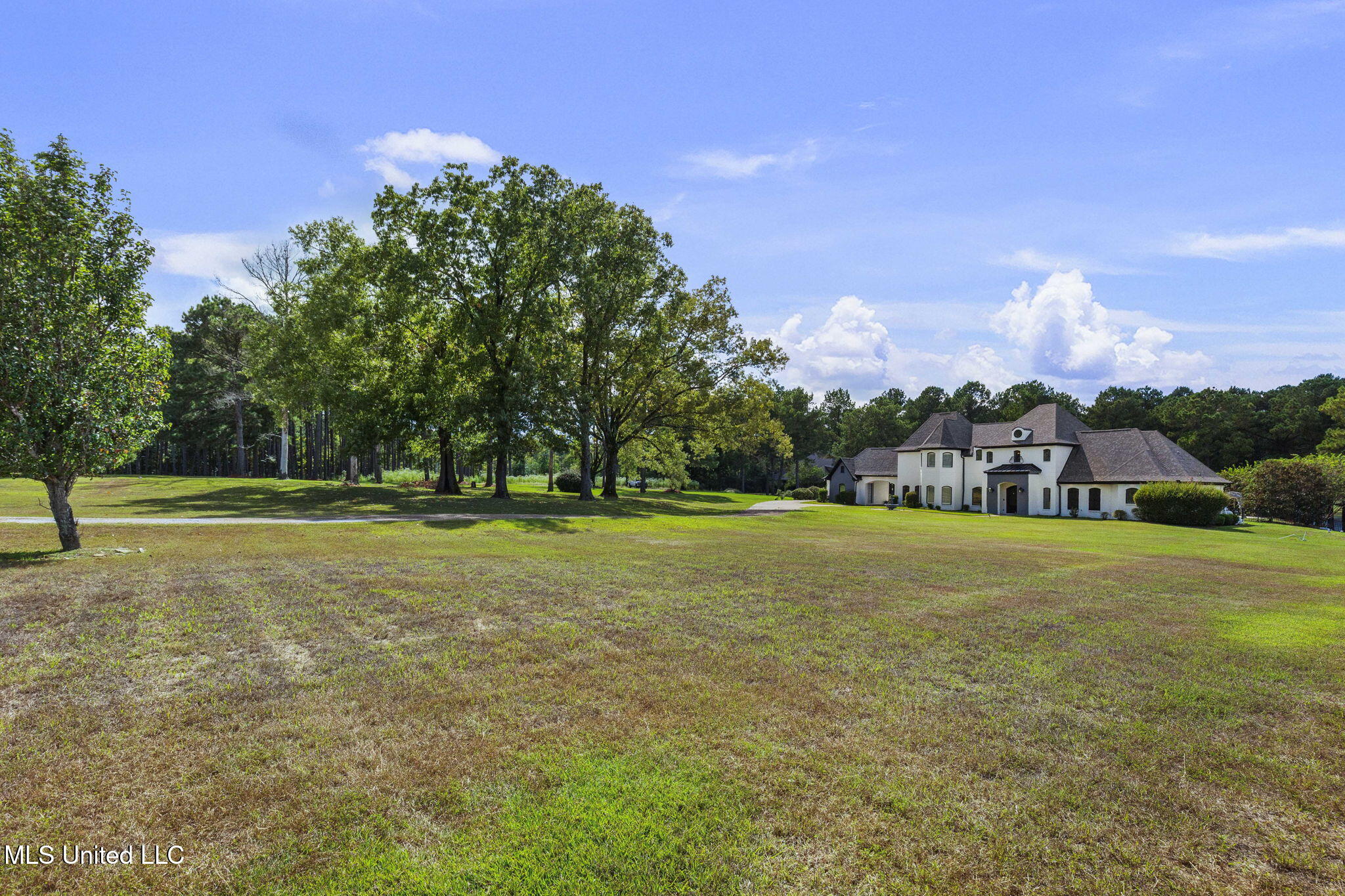 131 Lakeshire Parkway Property Photo 11