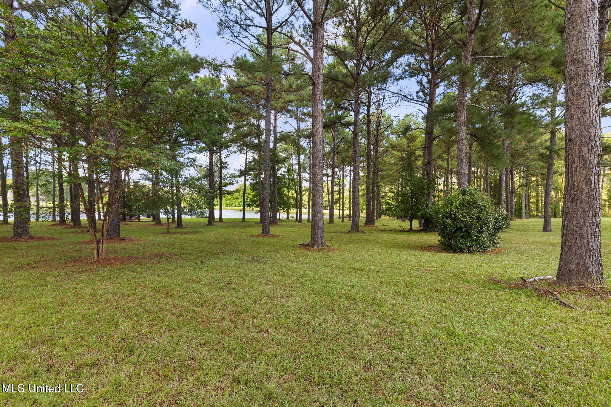 131 Lakeshire Parkway Property Photo 106