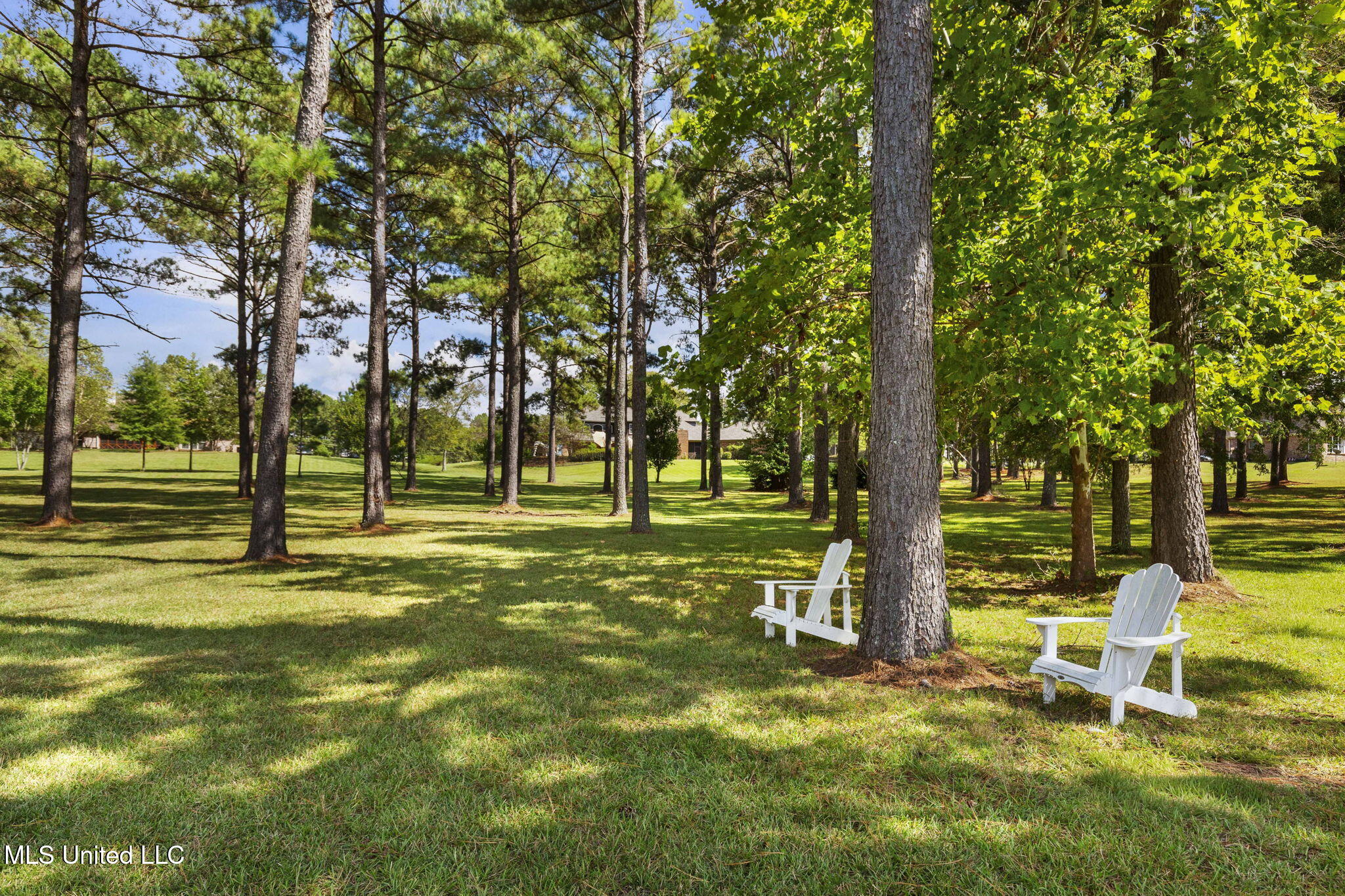 131 Lakeshire Parkway Property Photo 109