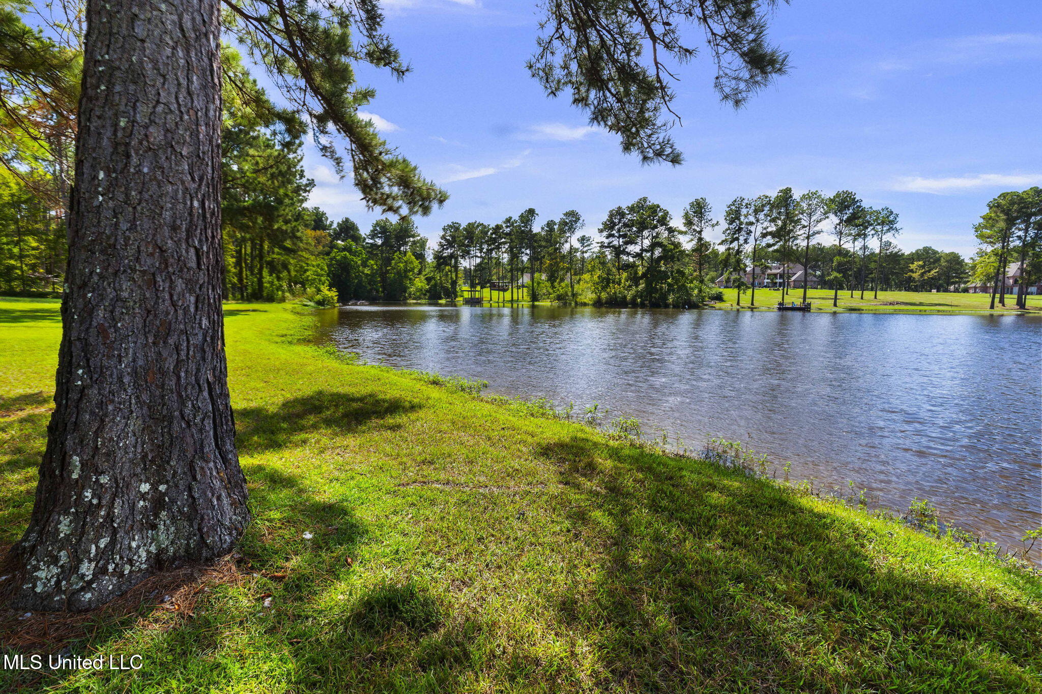 131 Lakeshire Parkway Property Photo 112