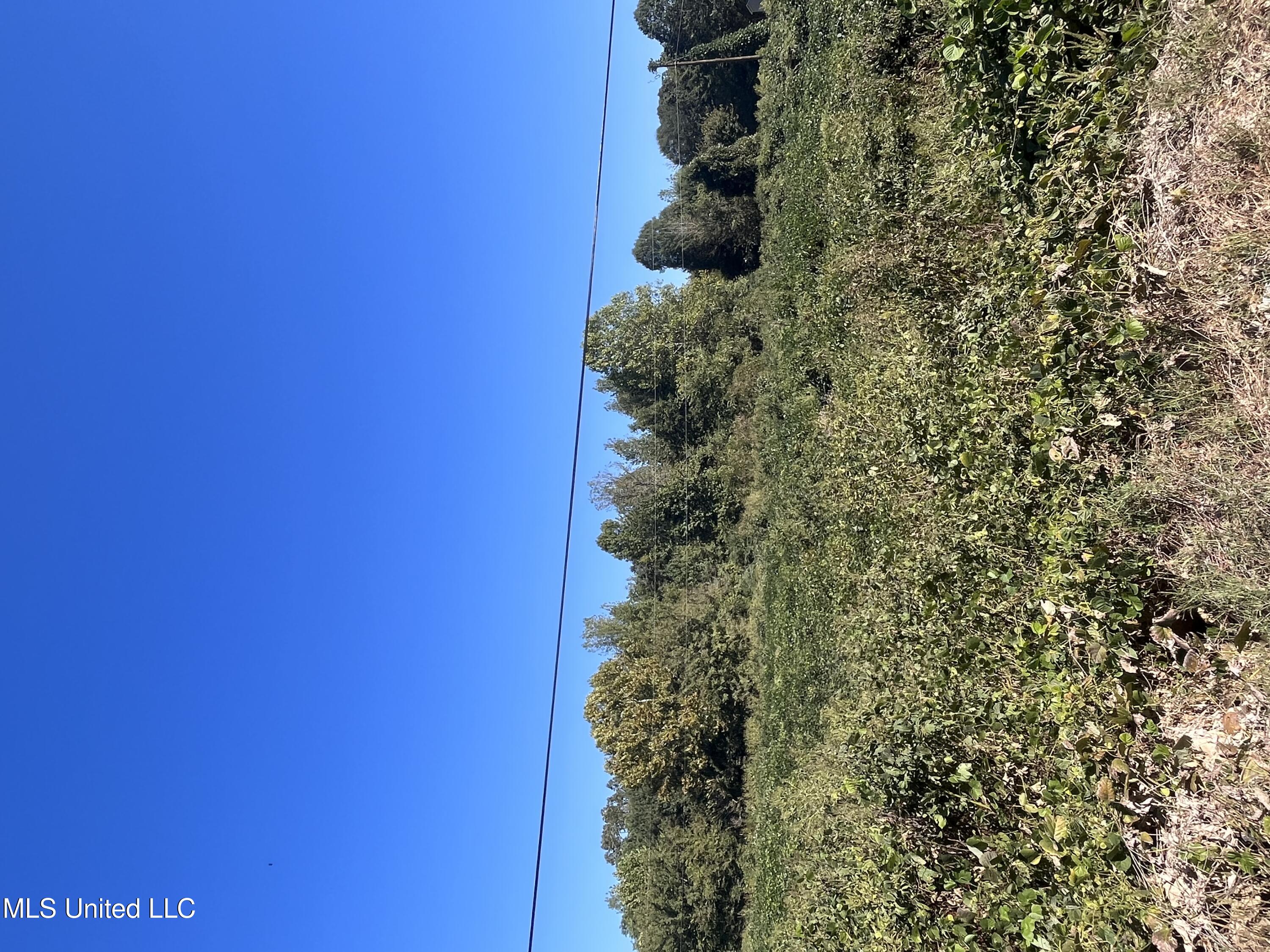 Lucius Taylor Road Property Photo 1