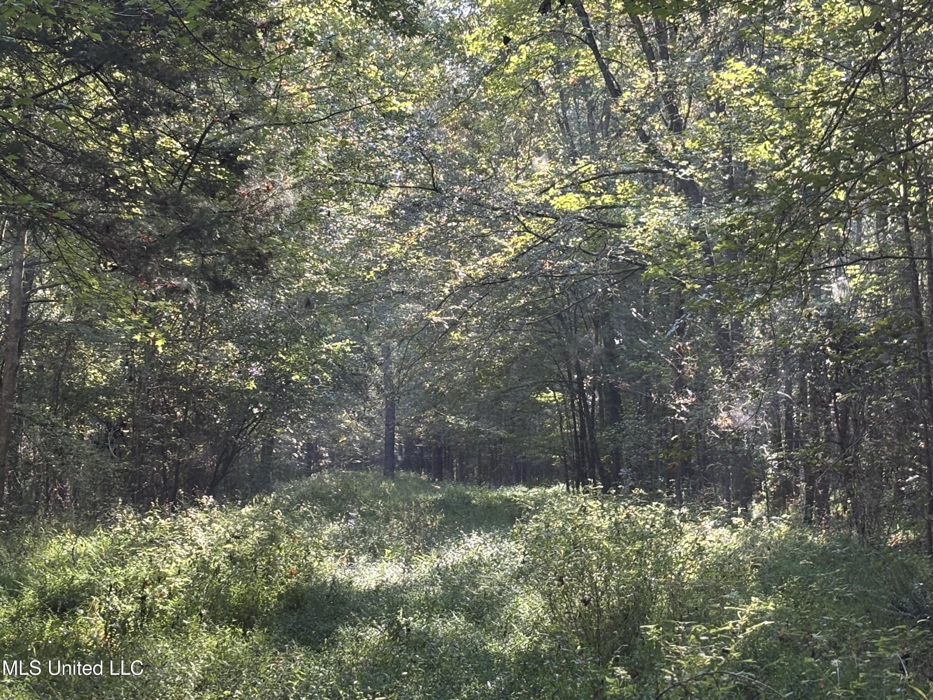 000 Ms-9 Property Photo 2