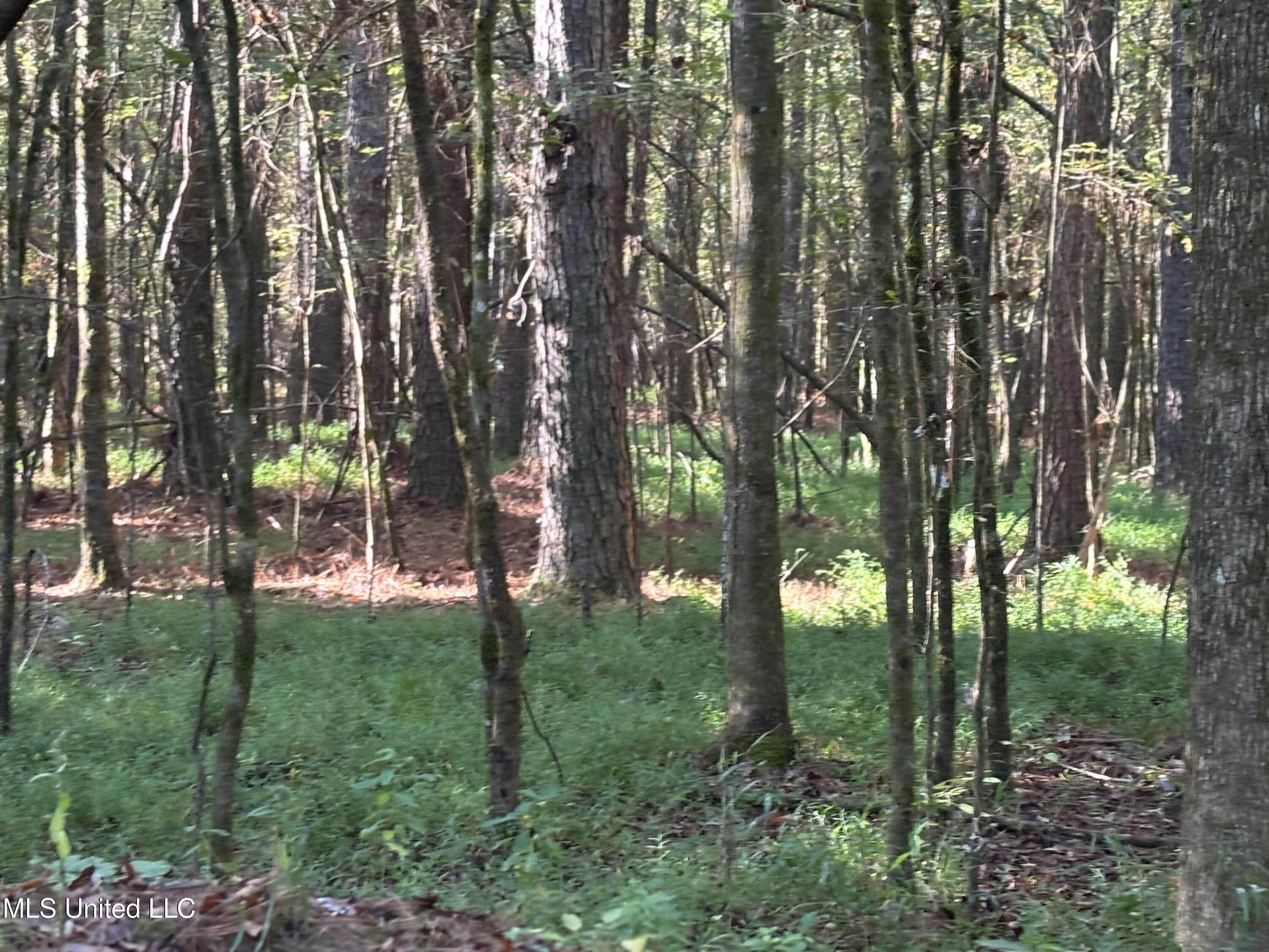 000 Ms-9 Property Photo 3