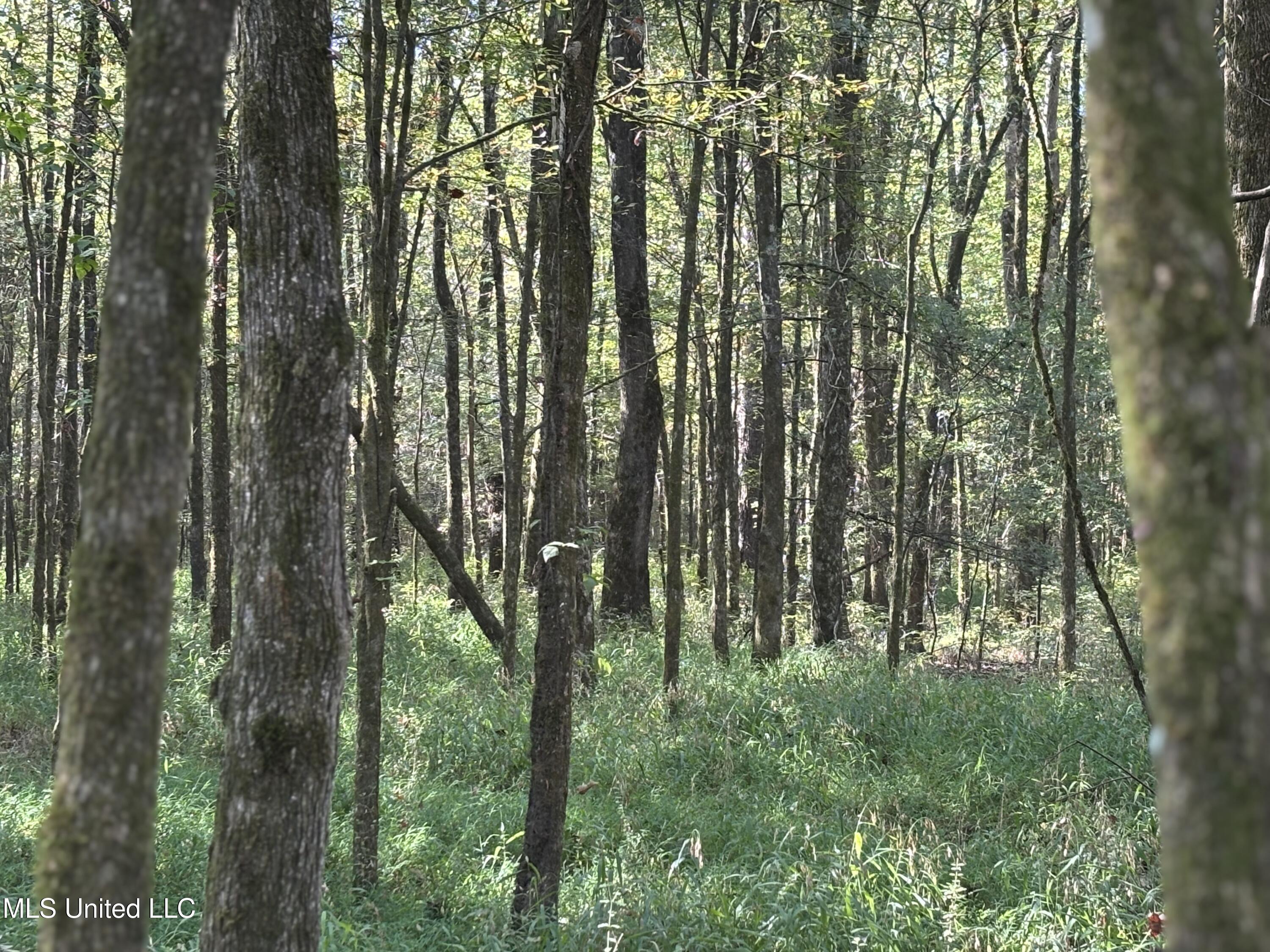 000 Ms-9 Property Photo 4