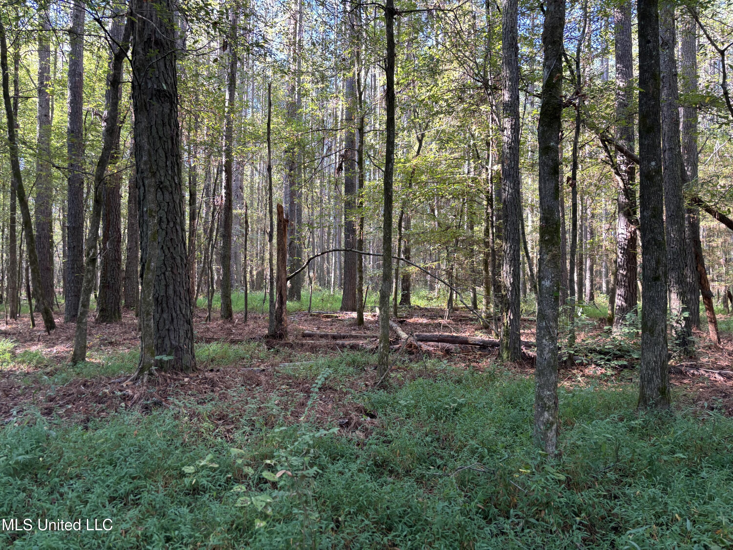 000 Ms-9 Property Photo 5