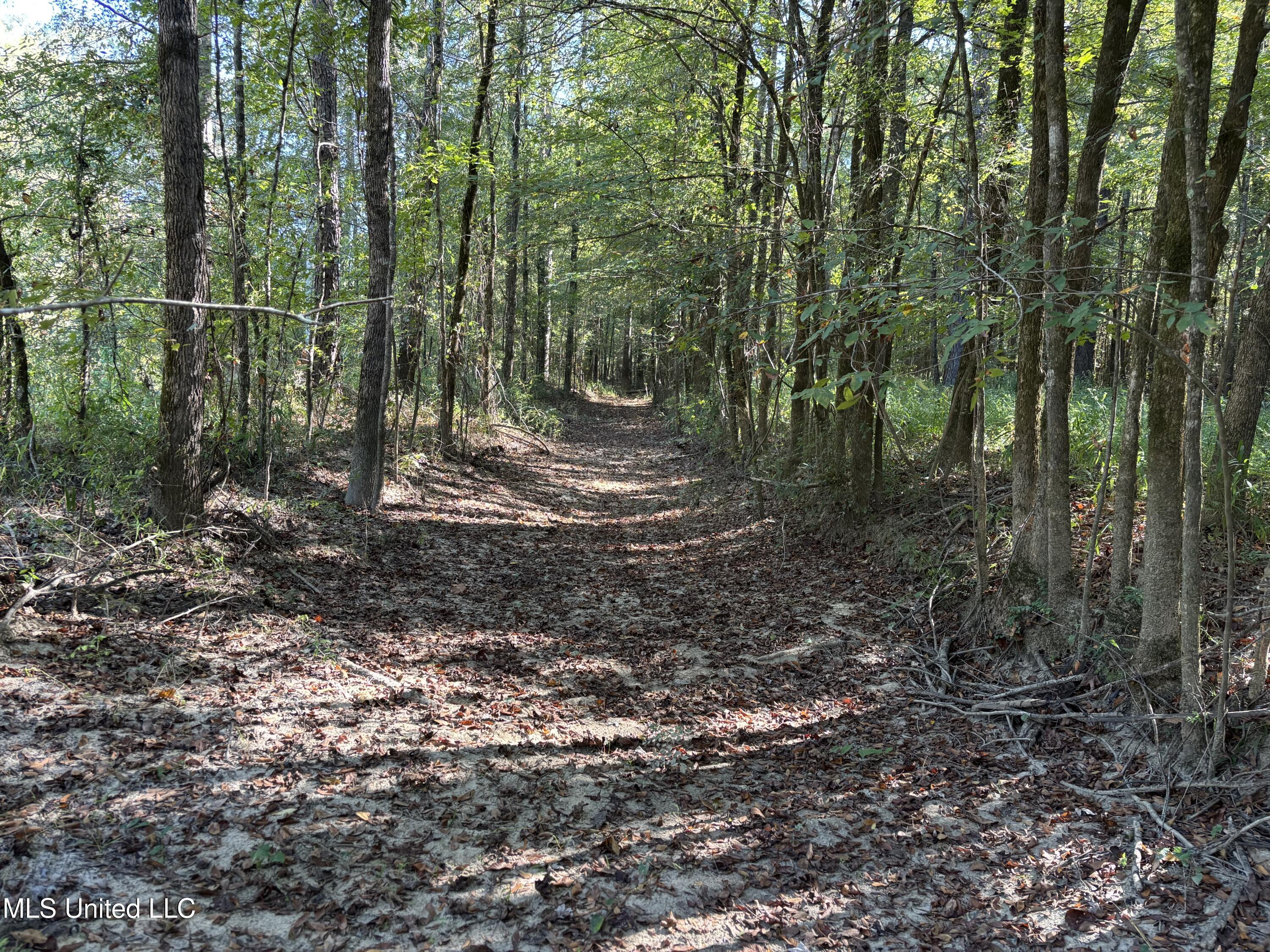 000 Ms-9 Property Photo 7