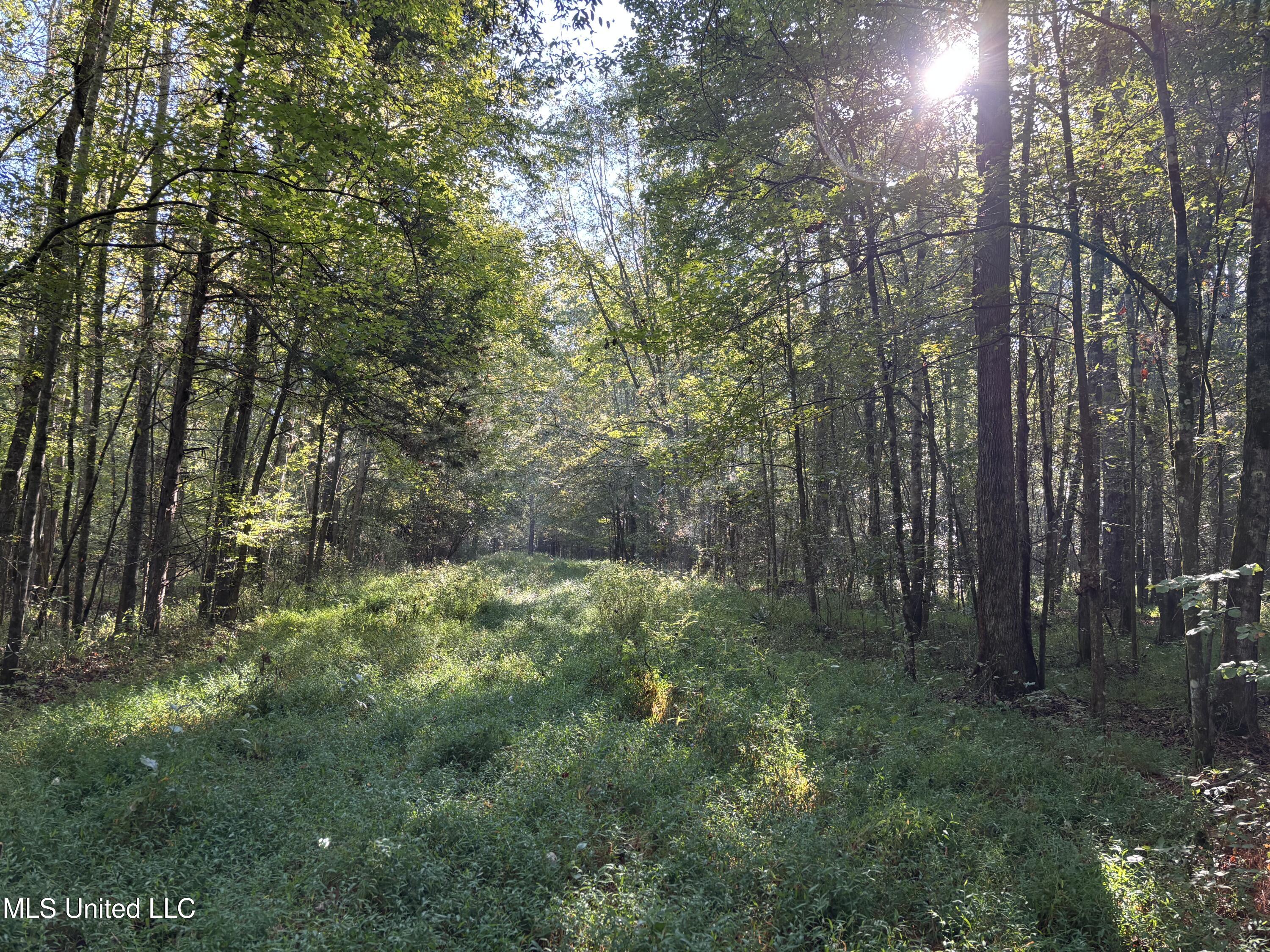 000 Ms-9 Property Photo 8