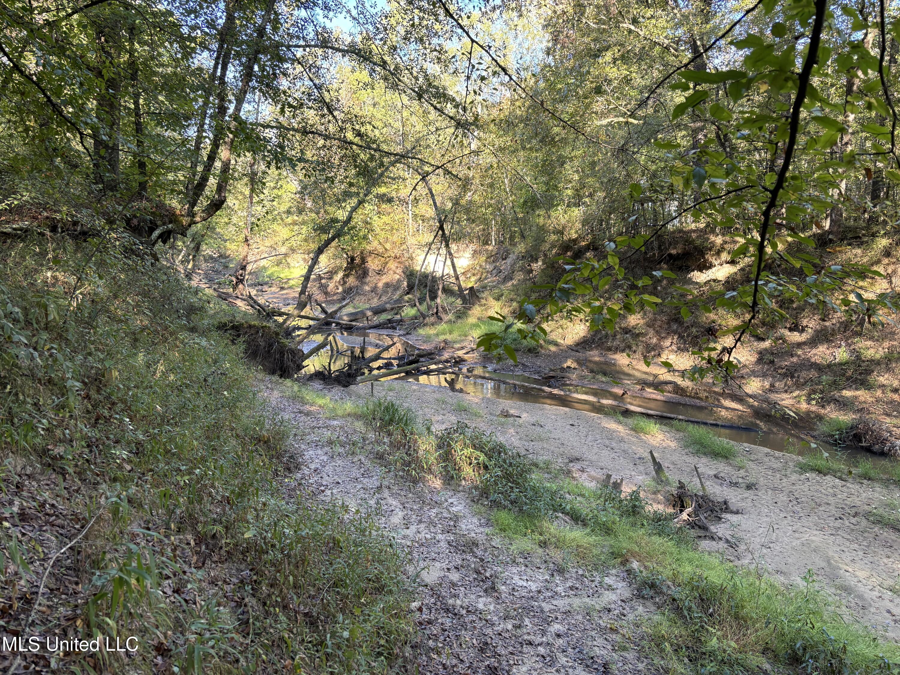 000 Ms-9 Property Photo 12